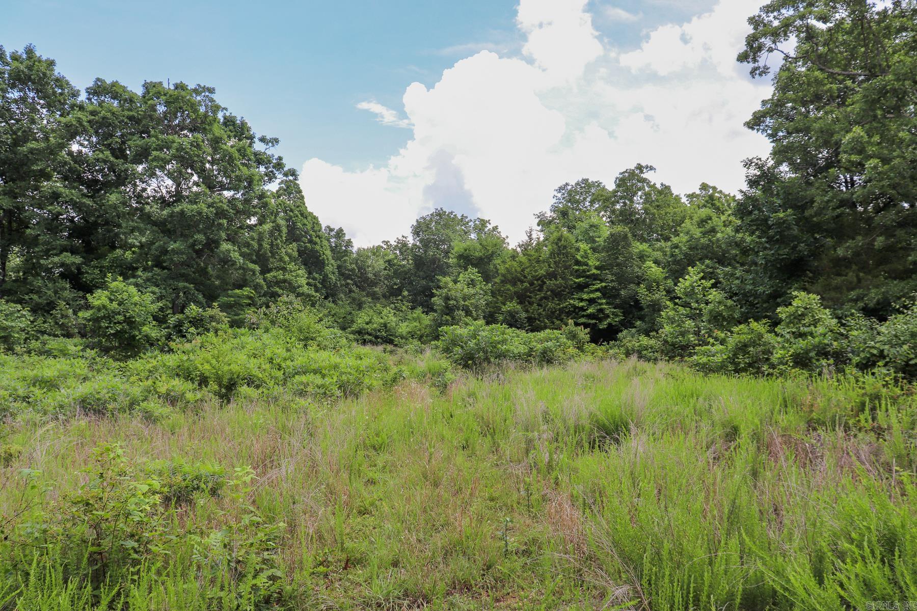 52 Summerfield Creek Crossroad