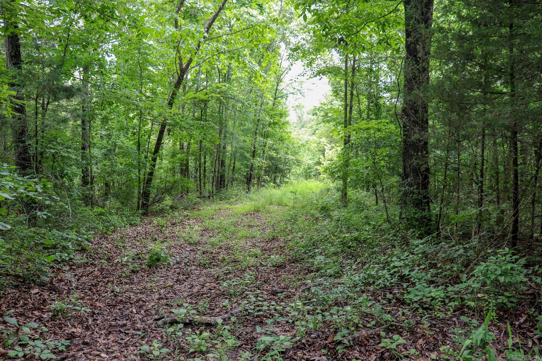 52 Summerfield Creek Crossroad
