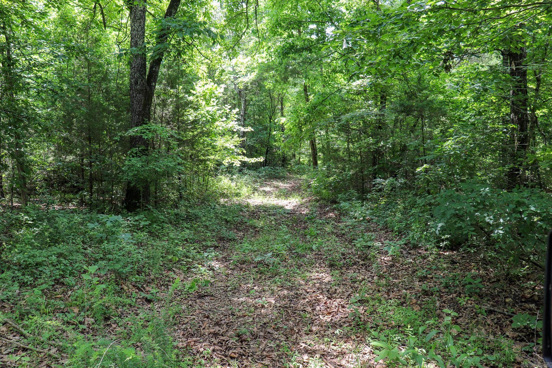 52 Summerfield Creek Crossroad