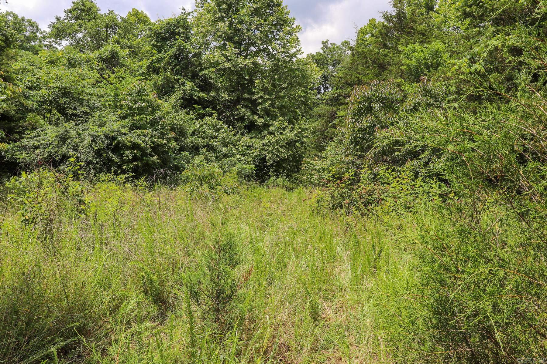 52 Summerfield Creek Crossroad