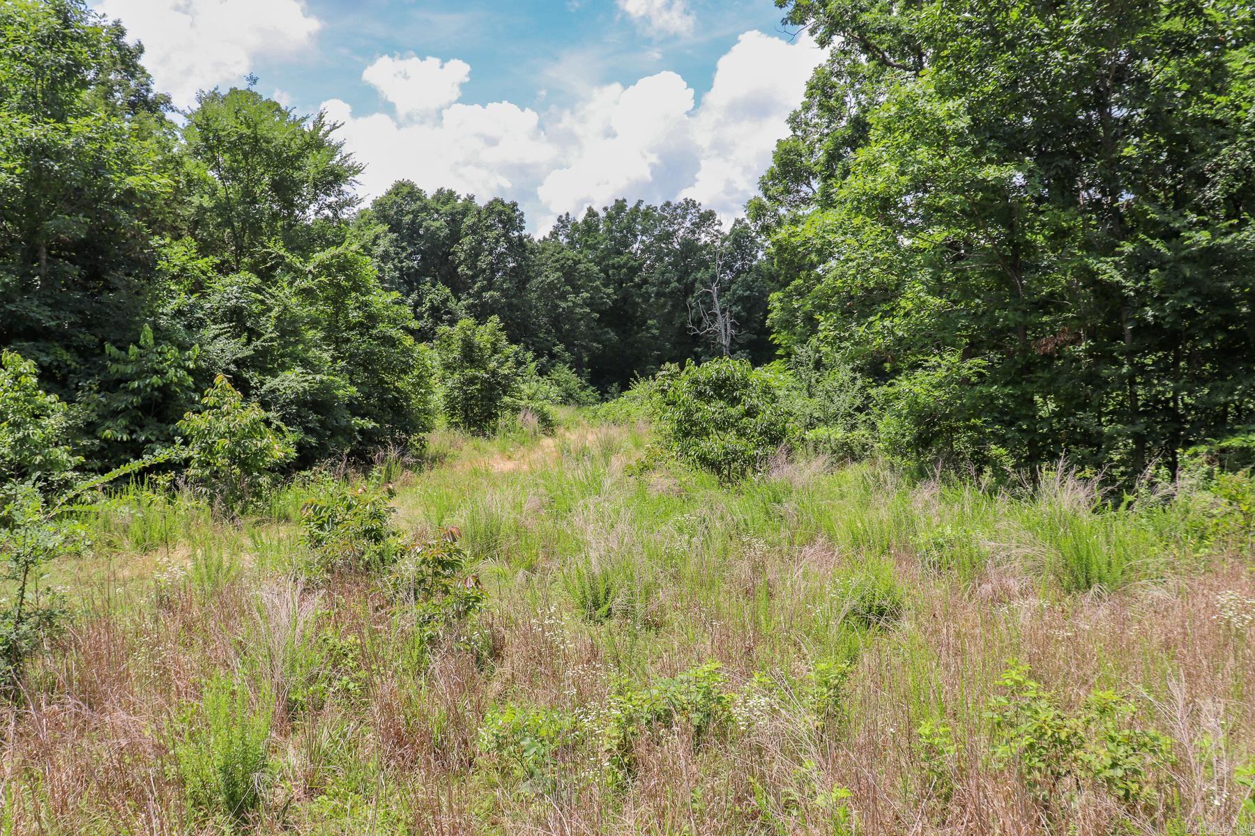 52 Summerfield Creek Crossroad