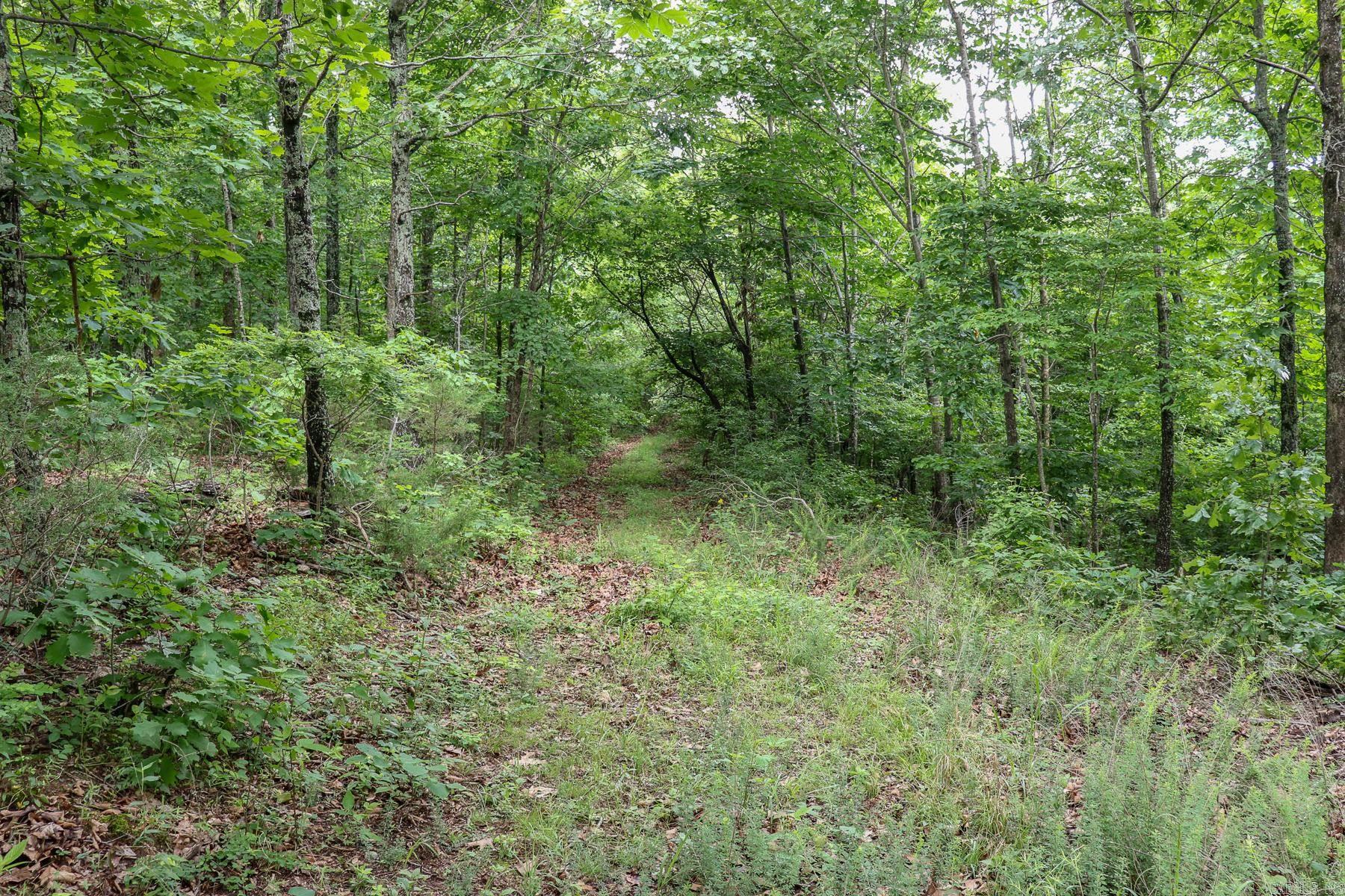 52 Summerfield Creek Crossroad