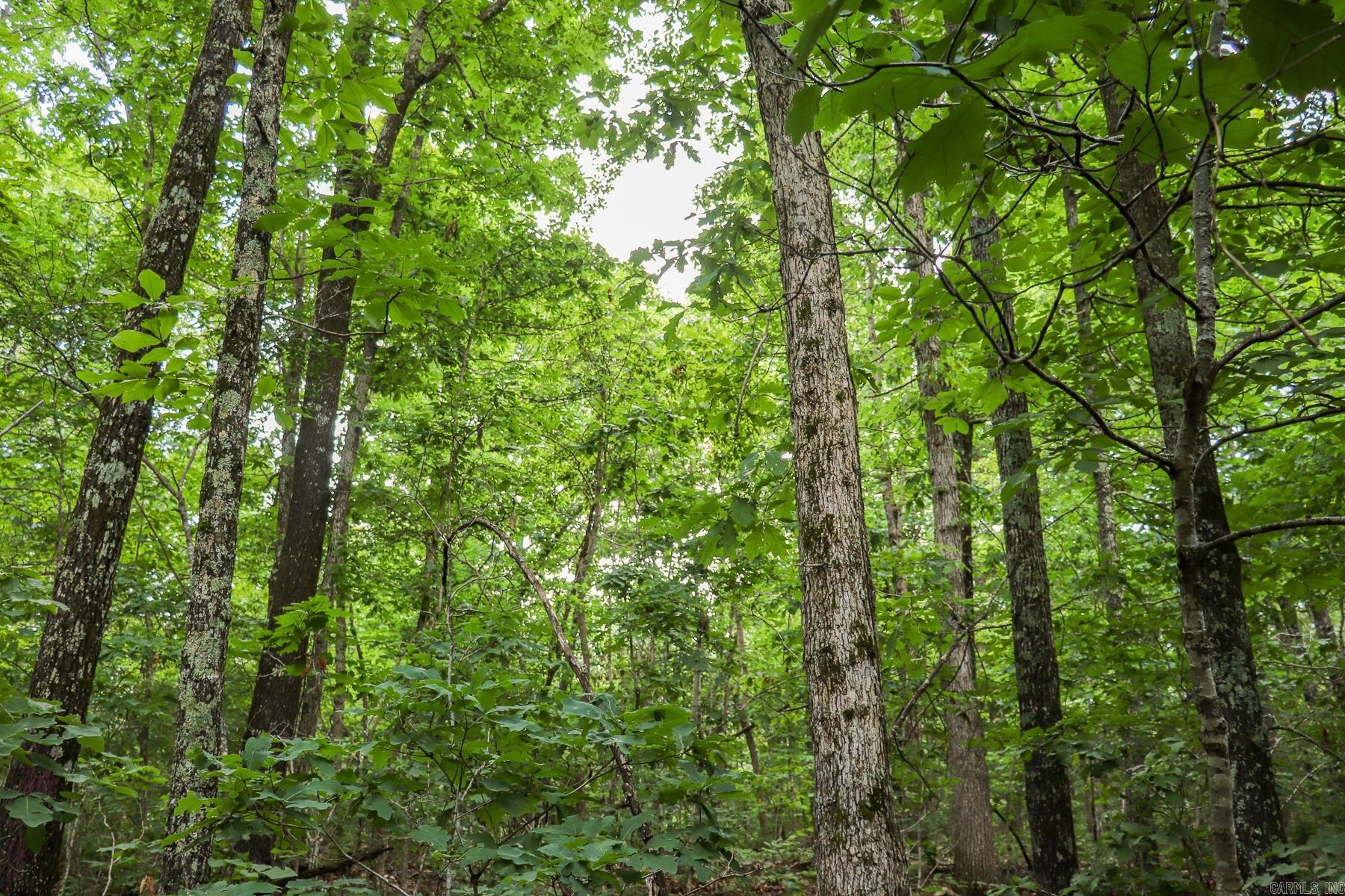 52 Summerfield Creek Crossroad