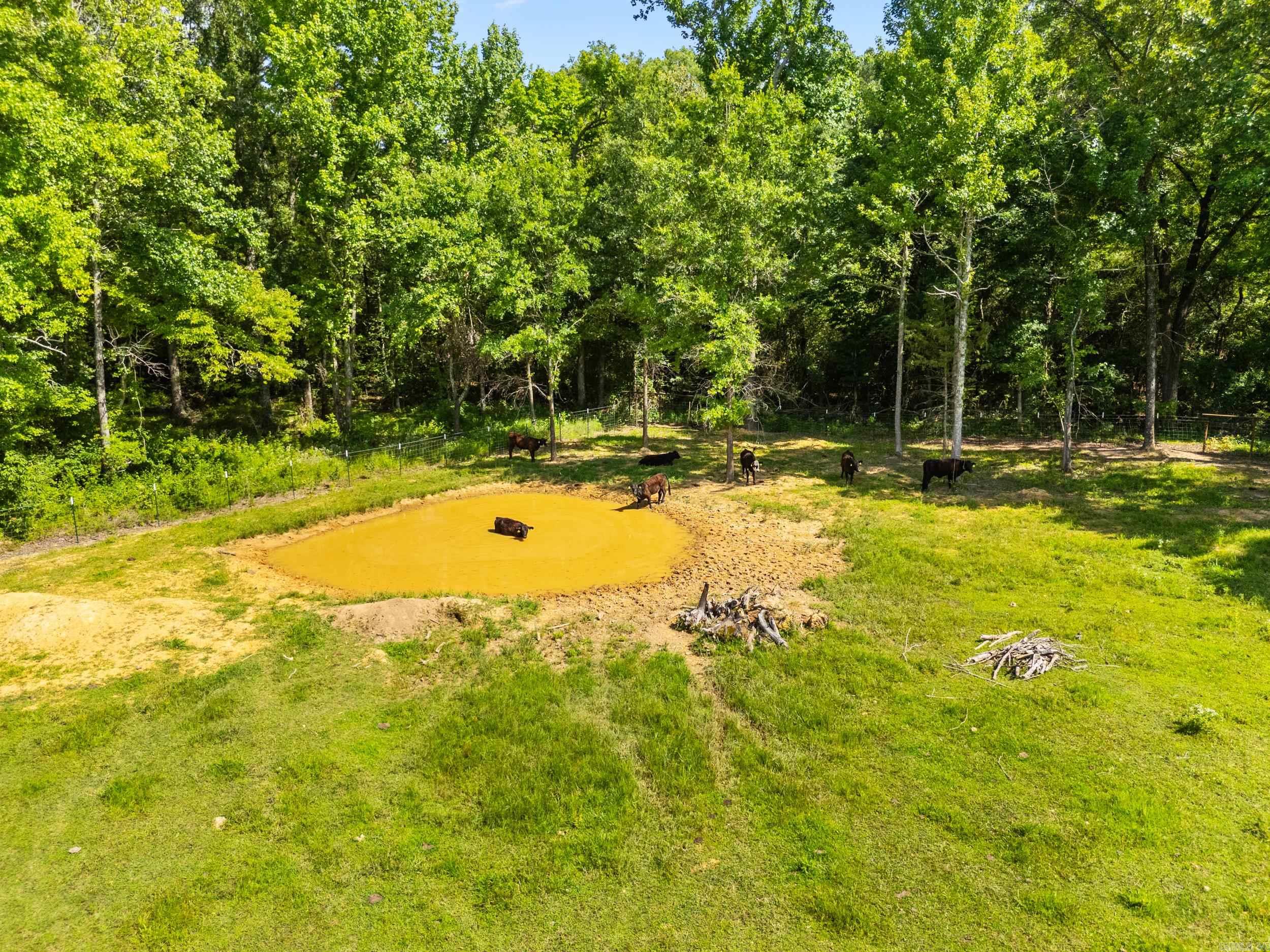 157 S Mt Olive Road