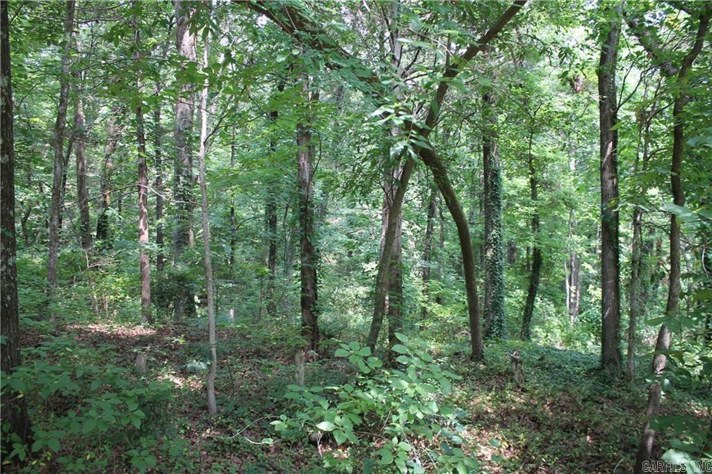 Lot 42 & 43 Craigwood Circle