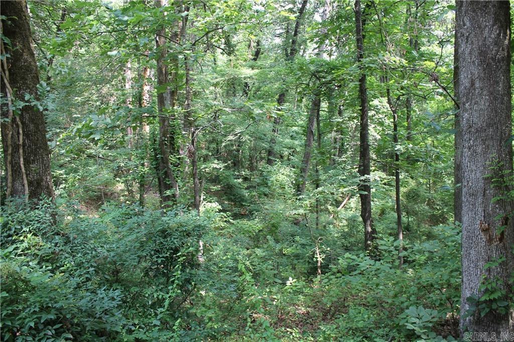 Lot 42 & 43 Craigwood Circle
