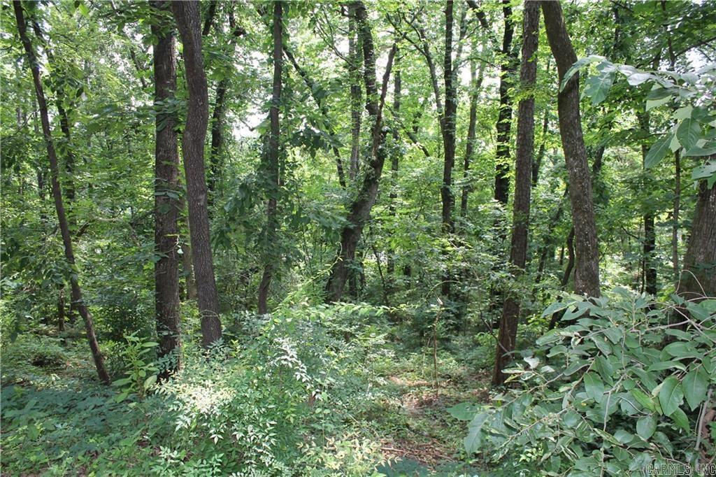 Lot 42 & 43 Craigwood Circle