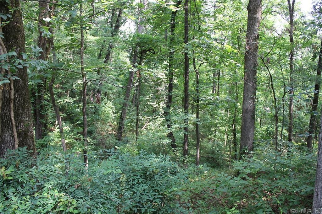 Lot 42 & 43 Craigwood Circle