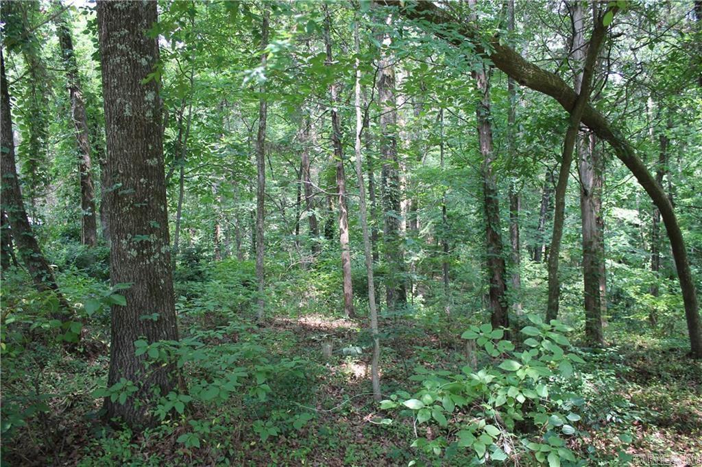 Lot 42 & 43 Craigwood Circle