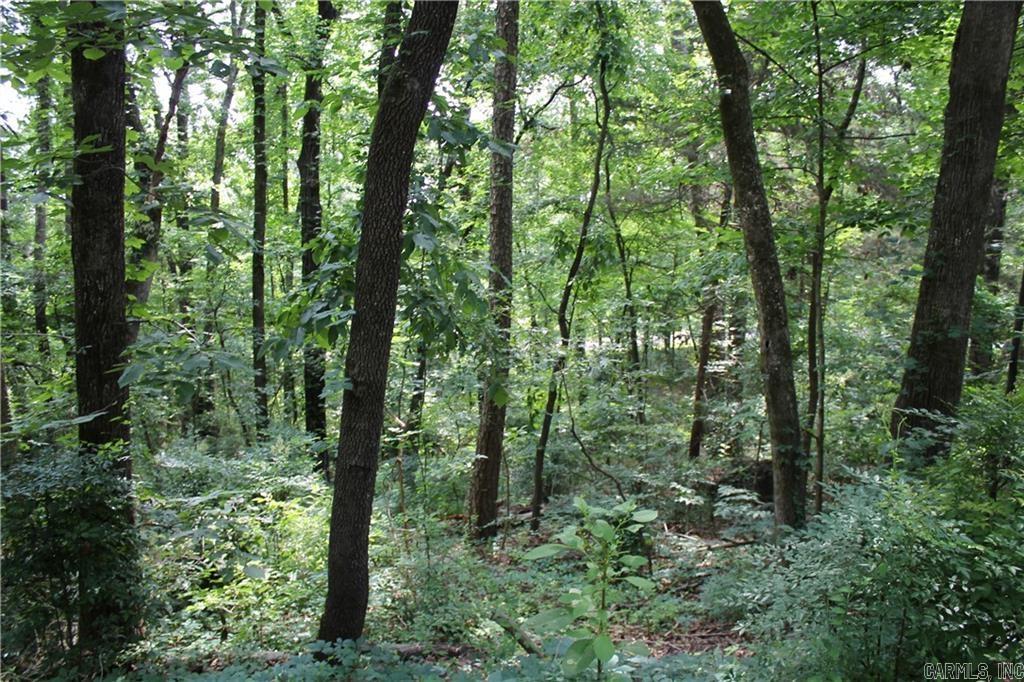 Lot 42 & 43 Craigwood Circle
