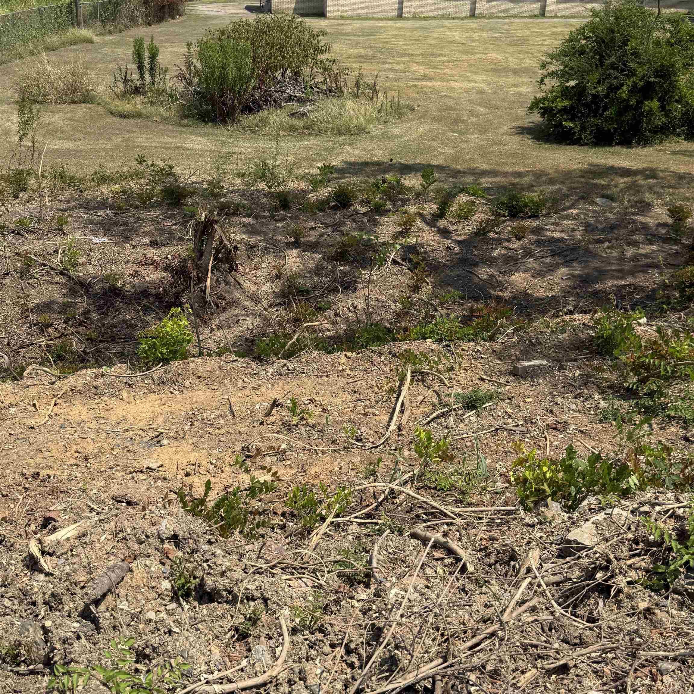 00 Crystal Hill