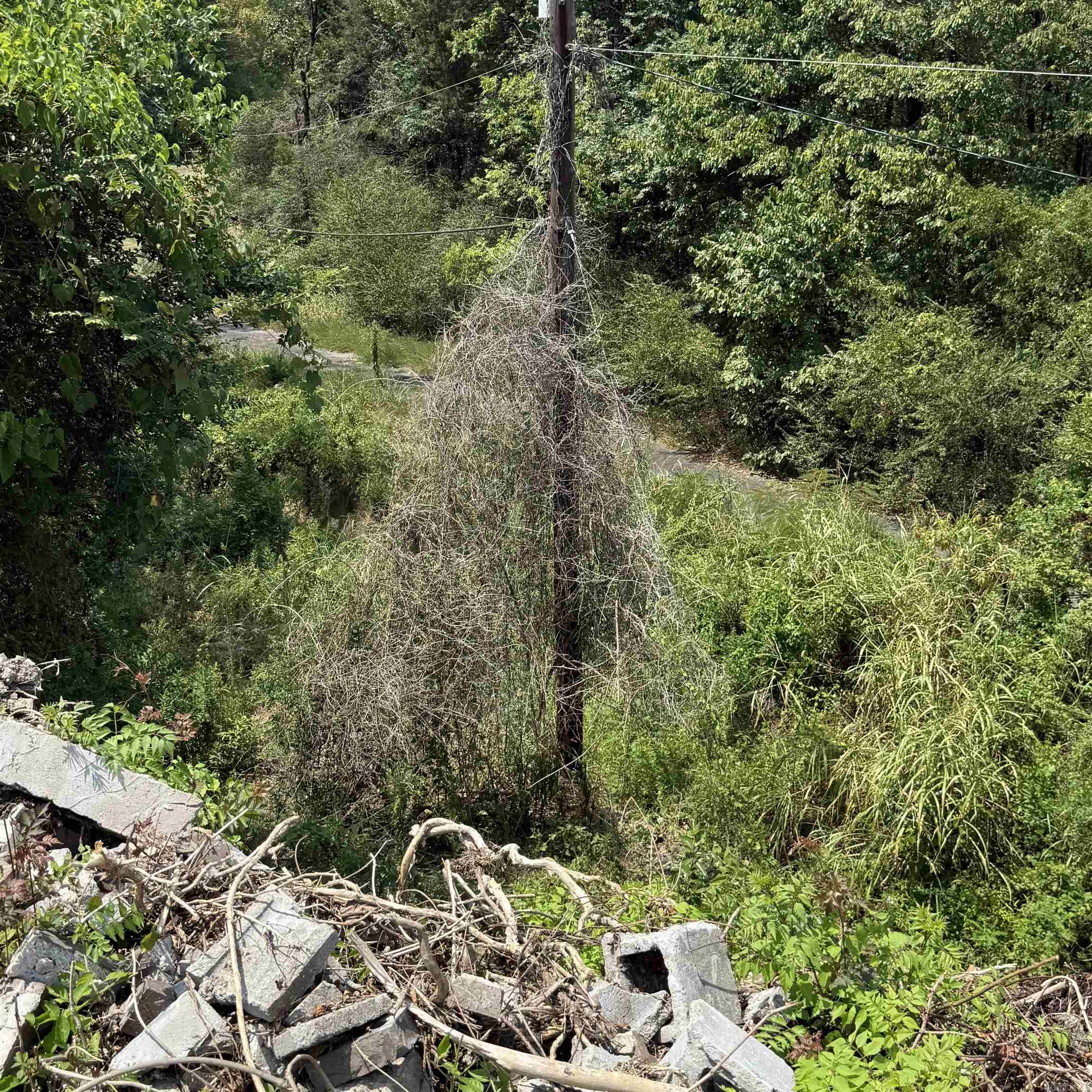 00 Crystal Hill