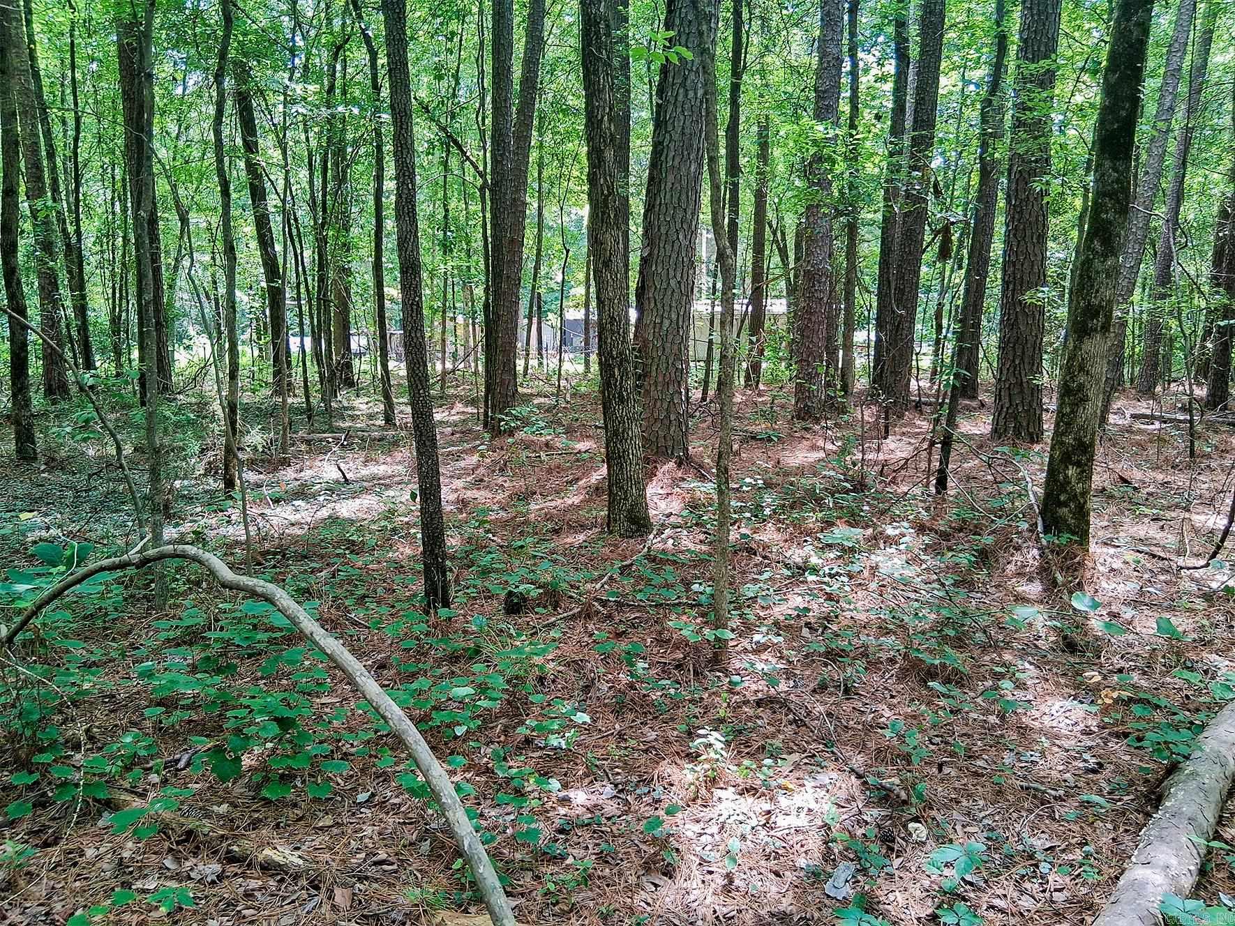 Hensley Loop