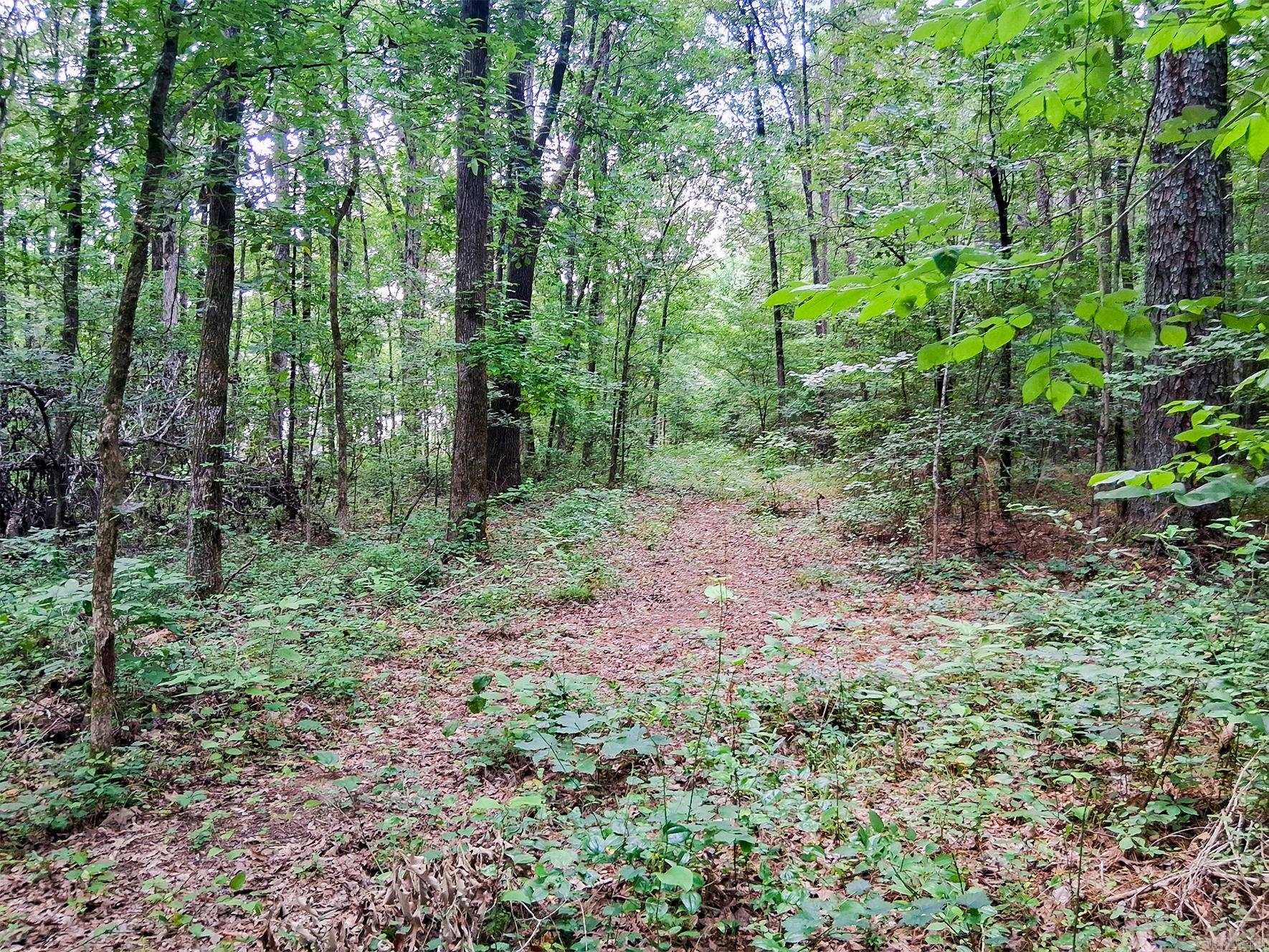 Hensley Loop