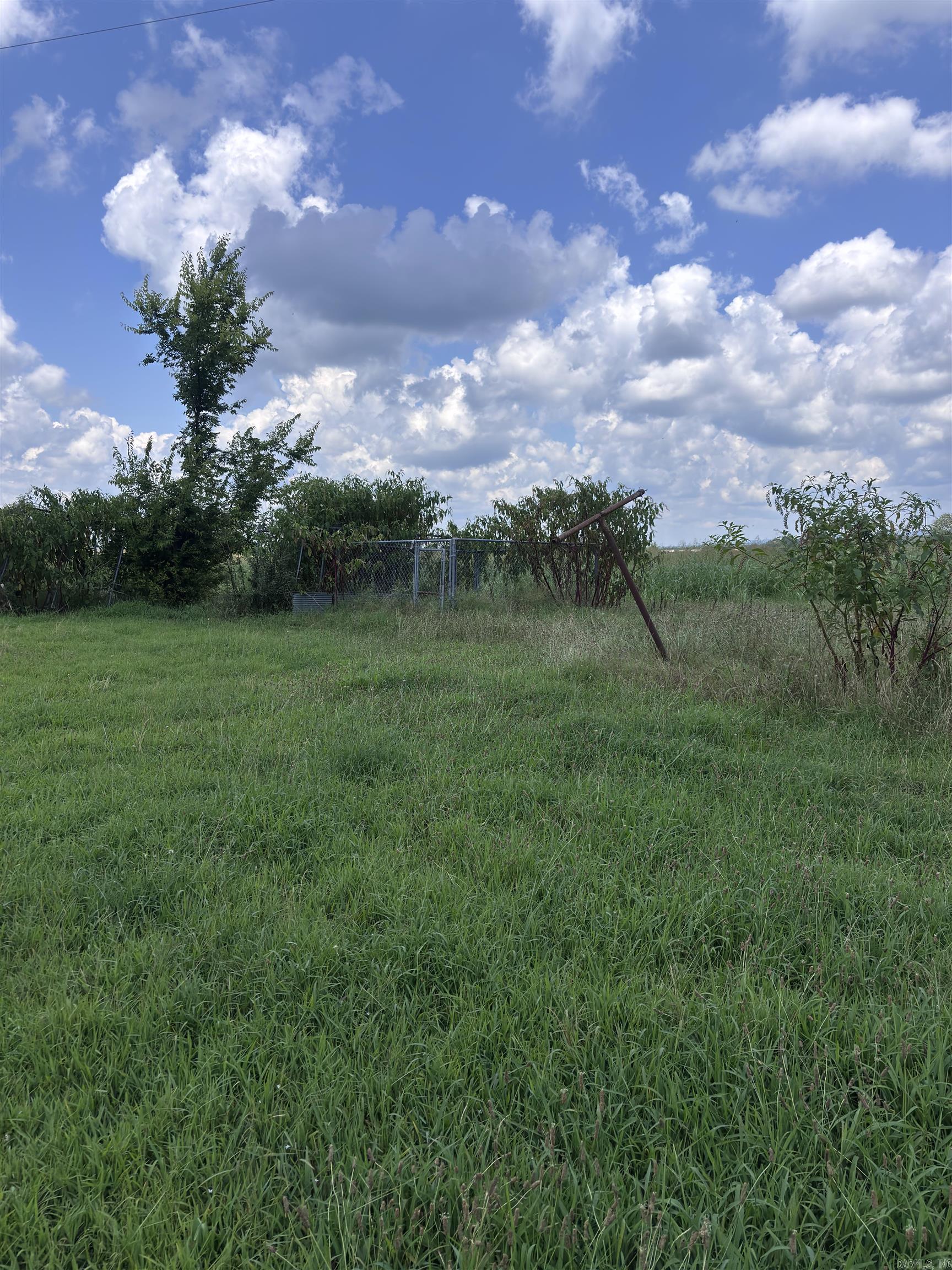 147 Young Loop