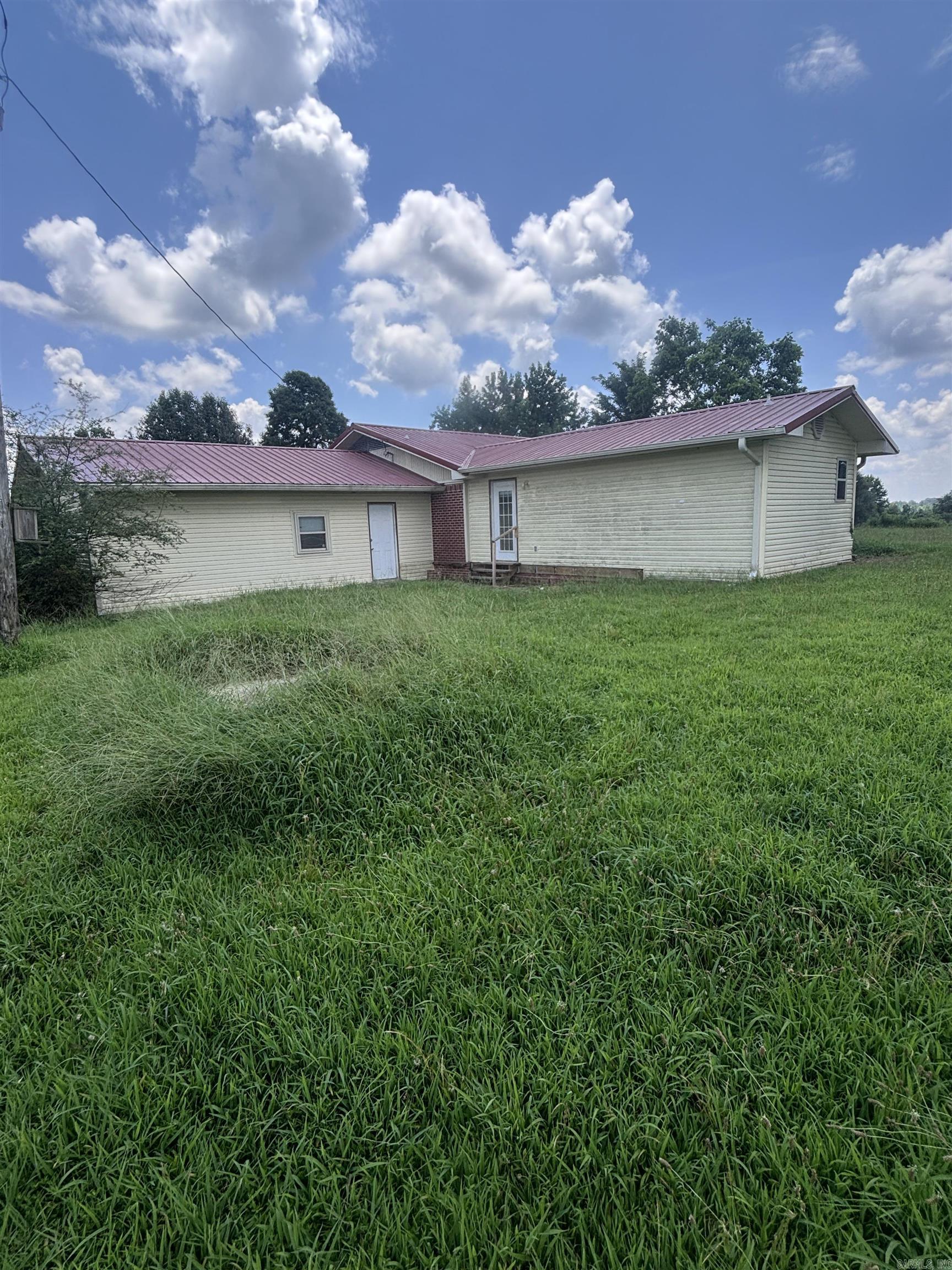 147 Young Loop
