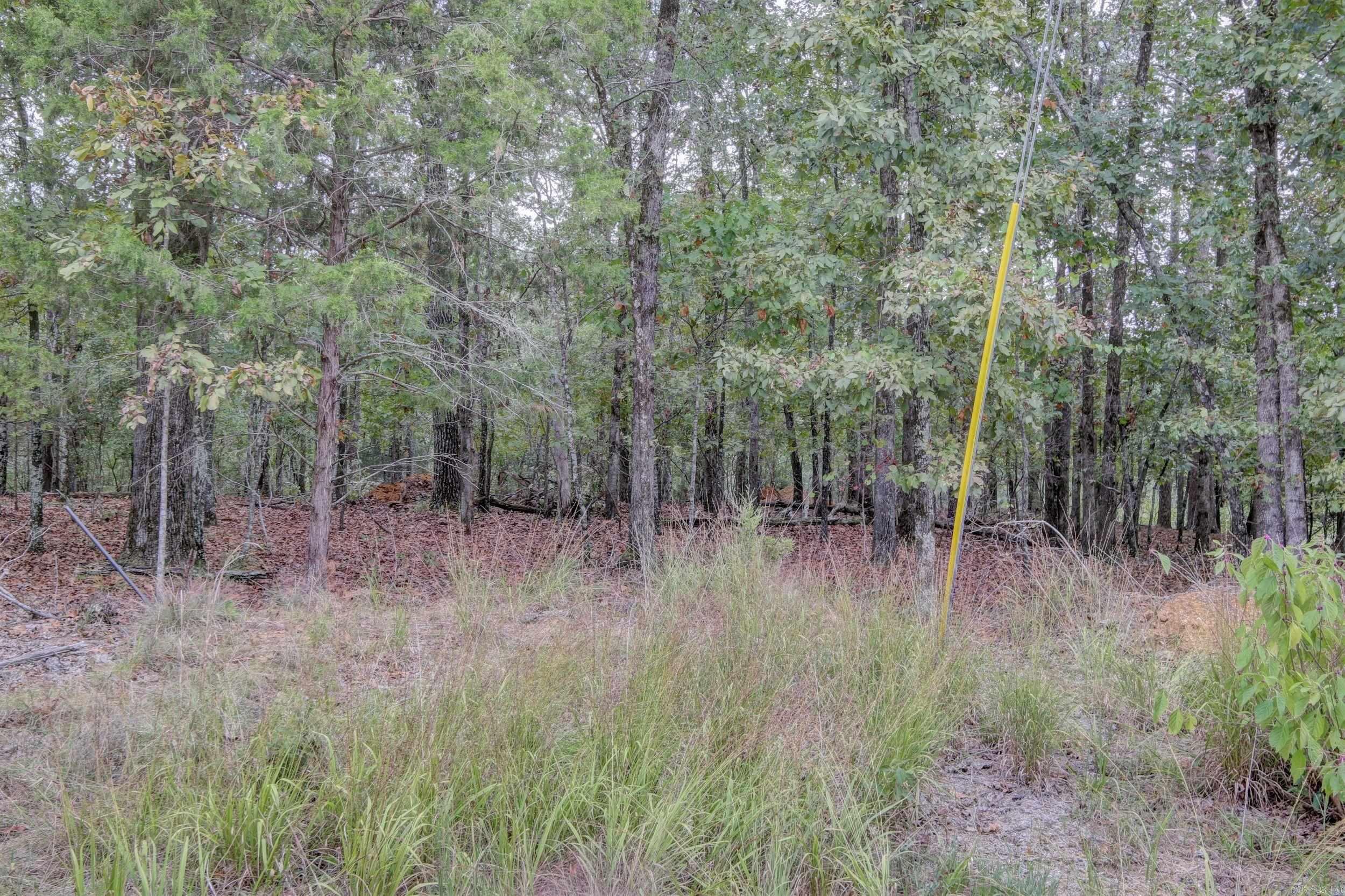 1.55 Acres Windsong Hill Road