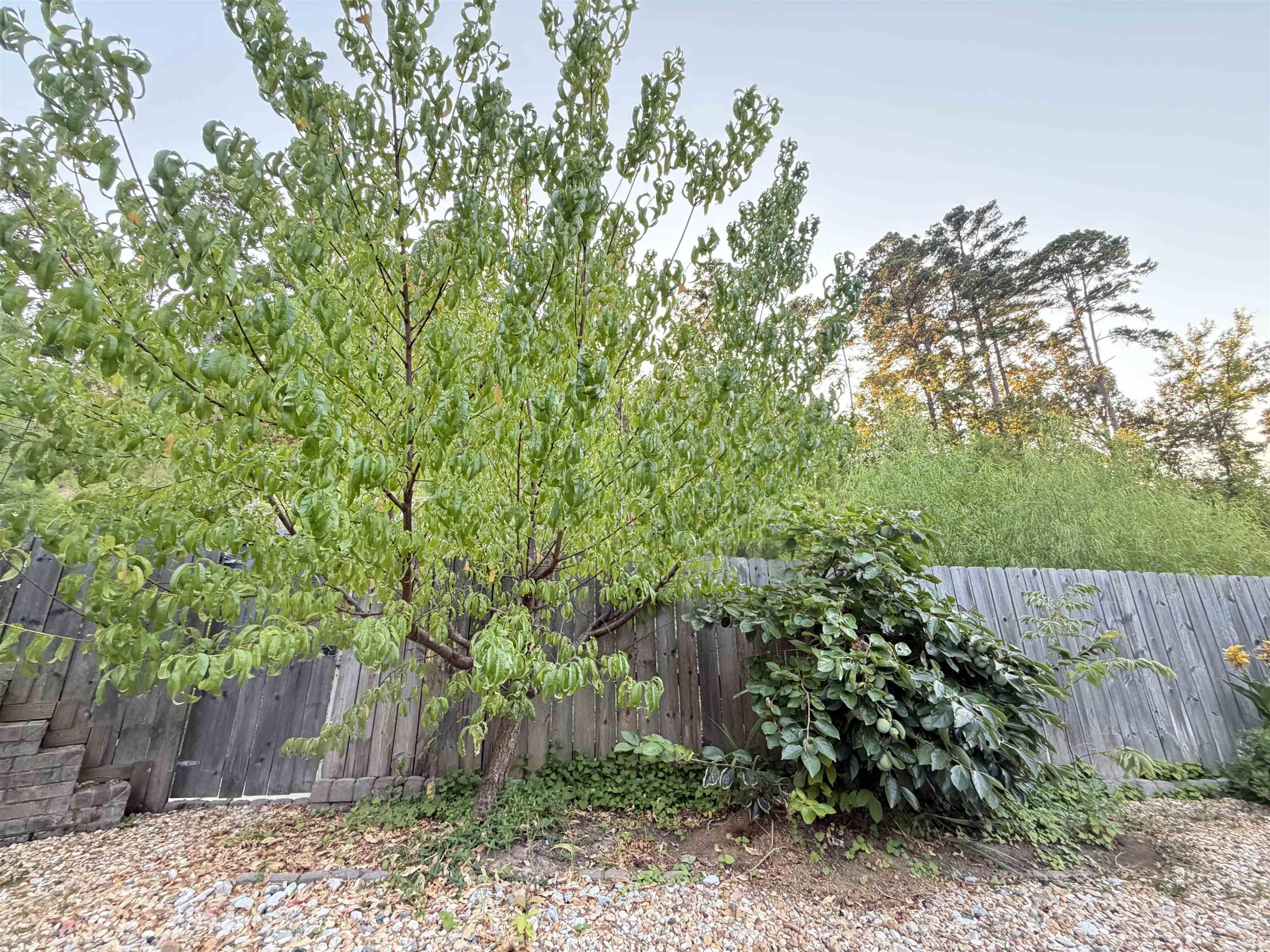4 piper ln