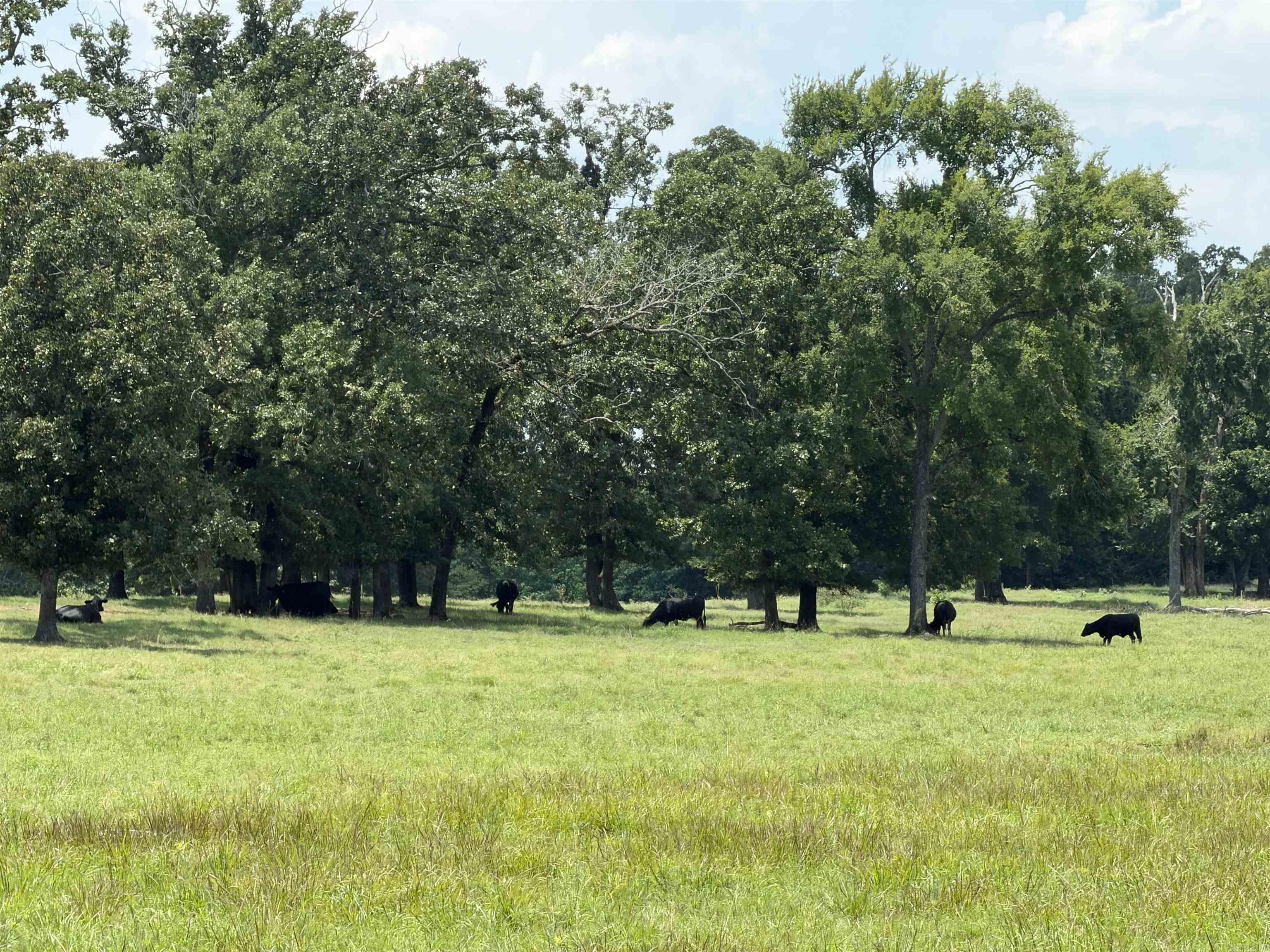 000 HWY 285 N
