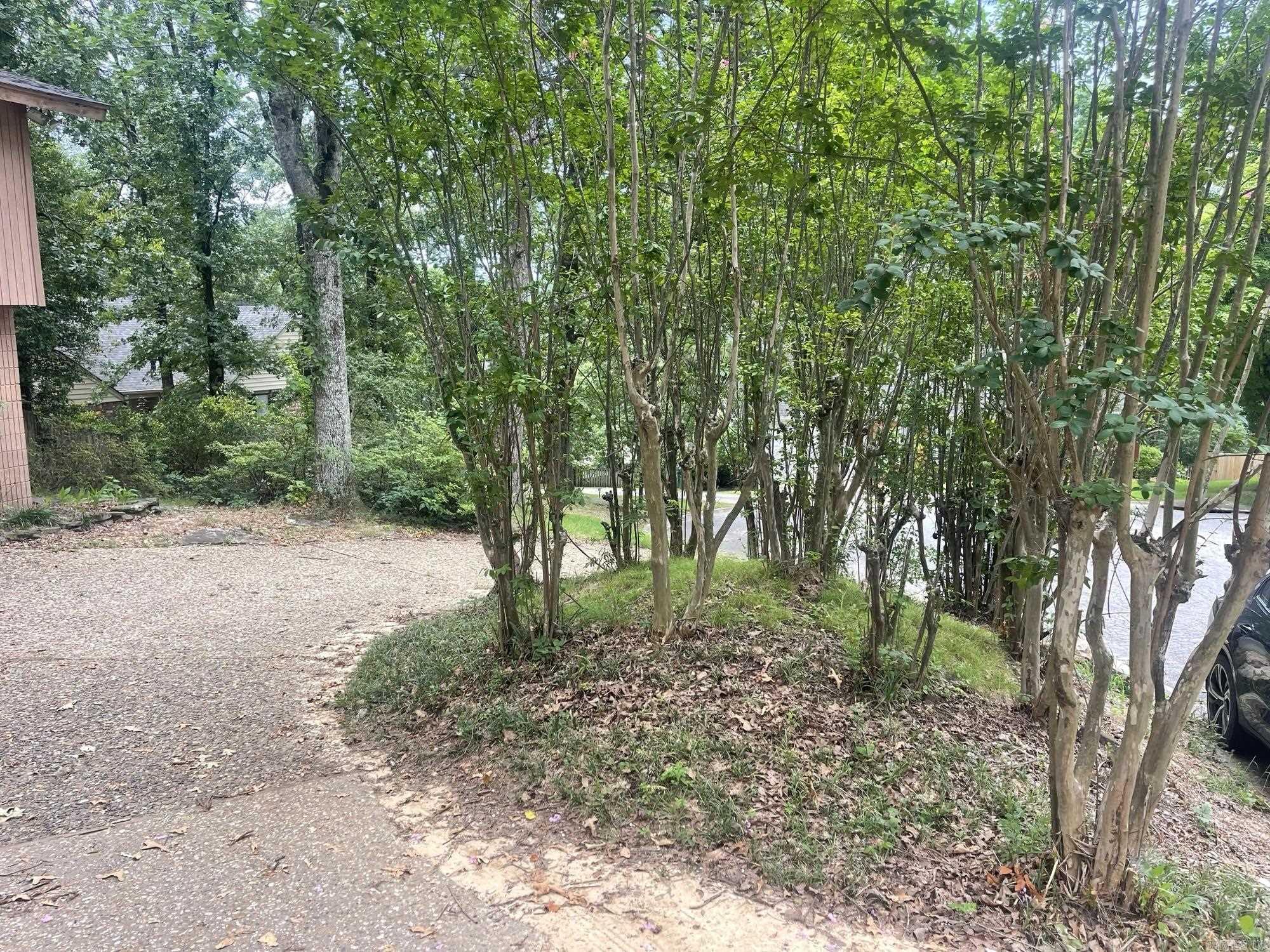 3 Catina Ct