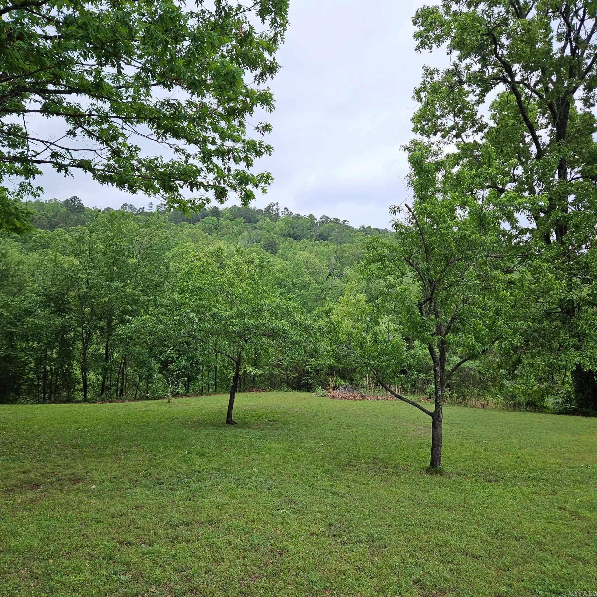 23379 Highway 307