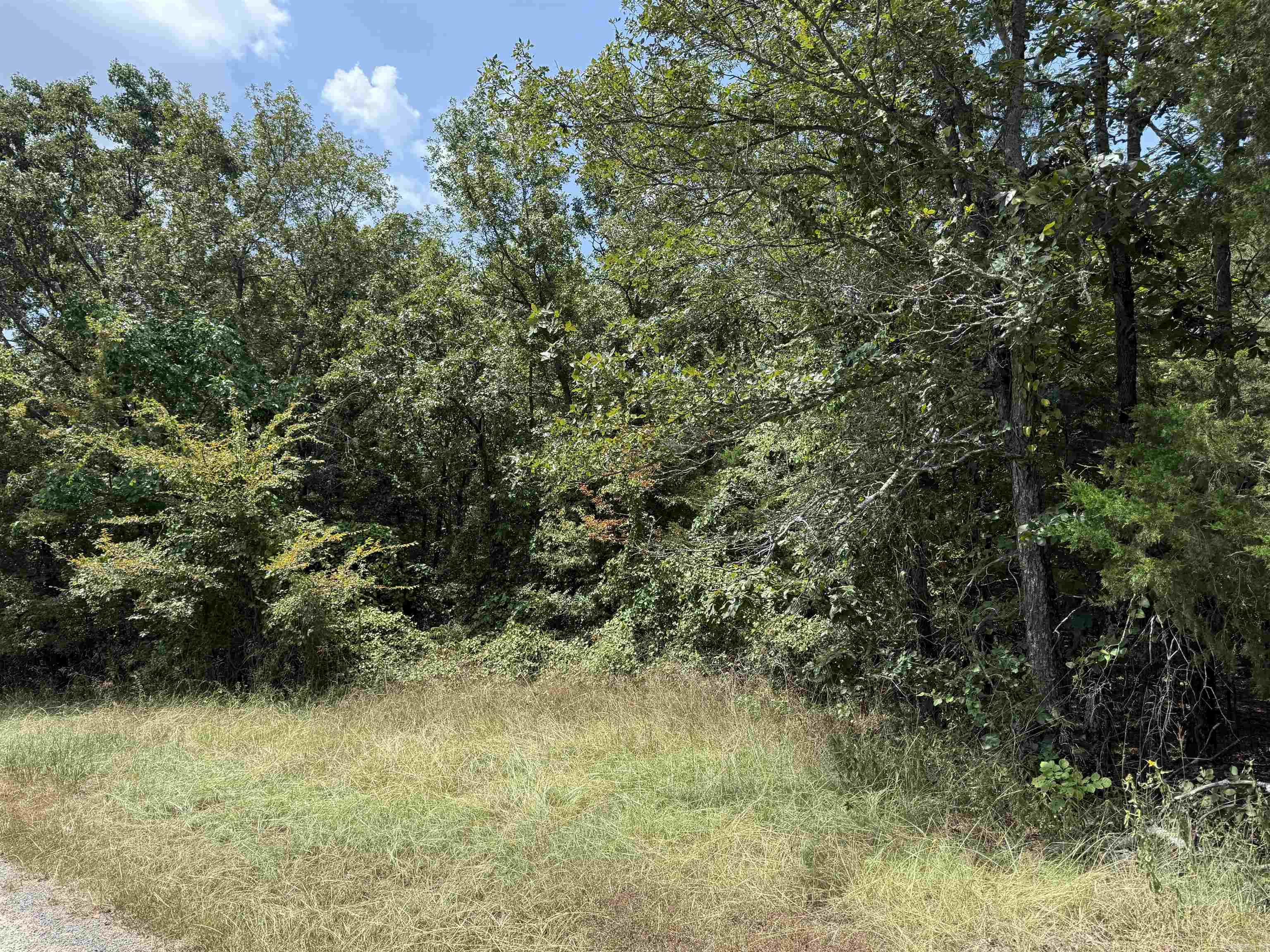 00 Norris Lane