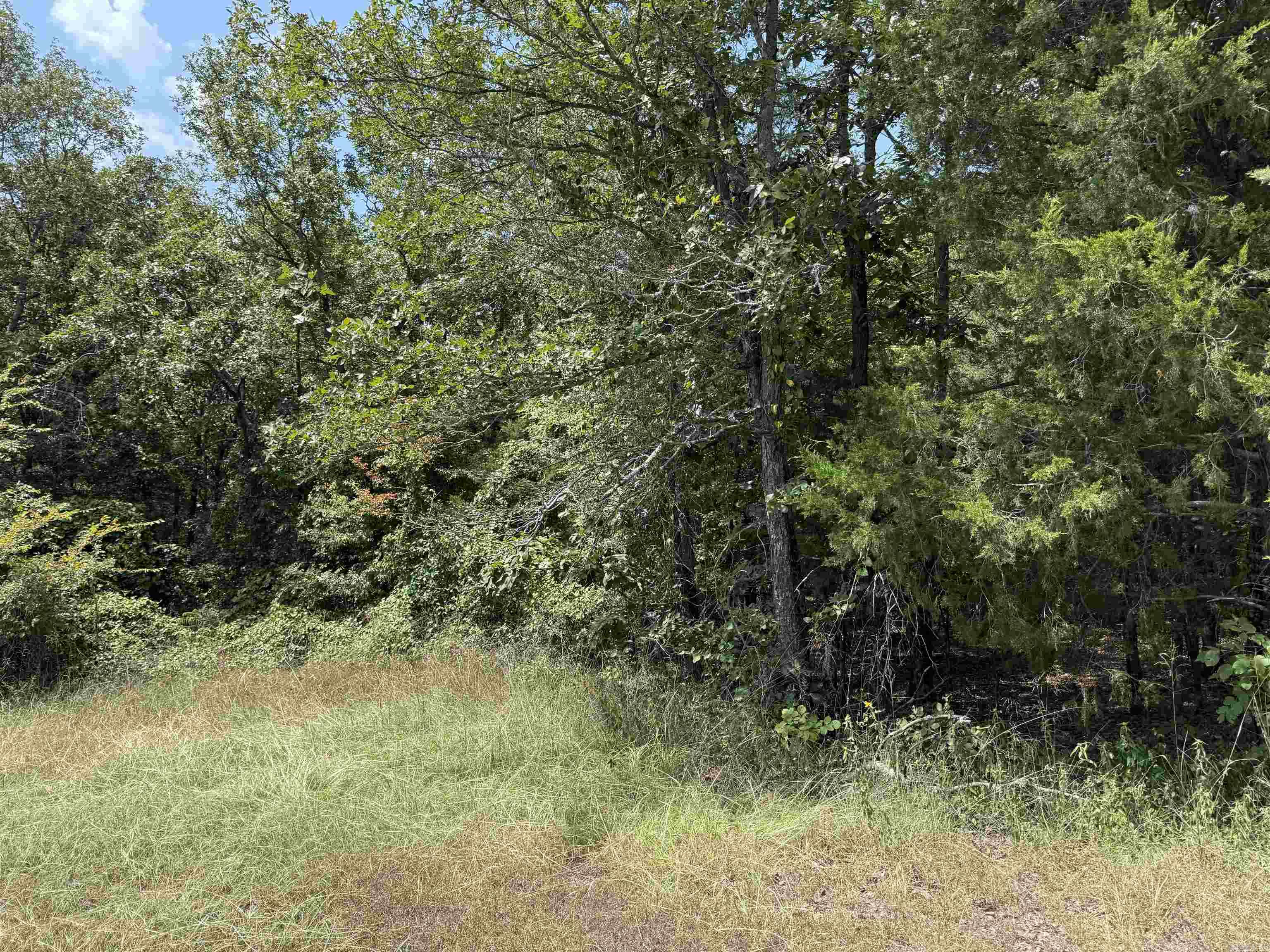 00 Norris Lane
