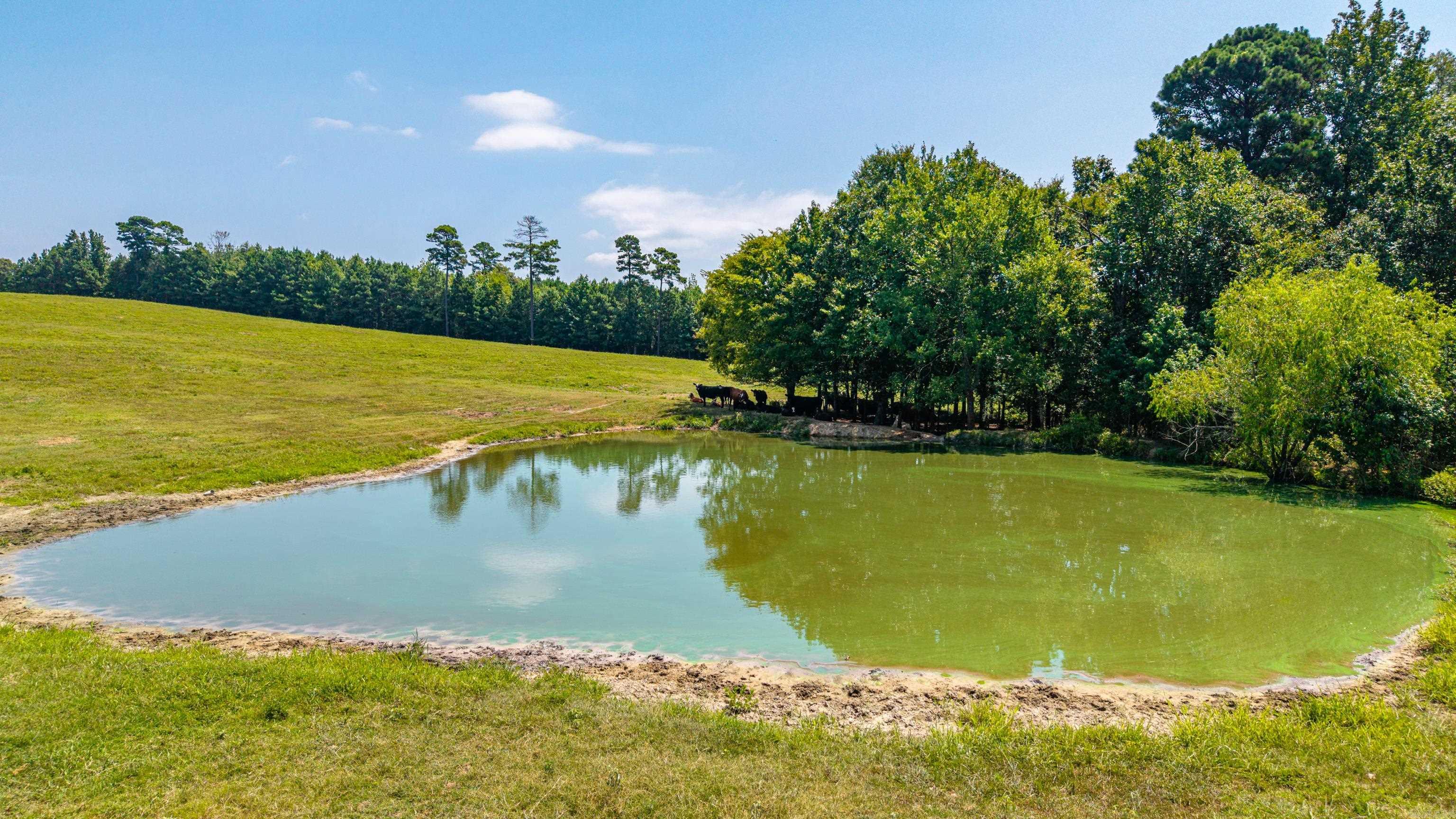 TBD 56.13 Acres Broken Bow Lane