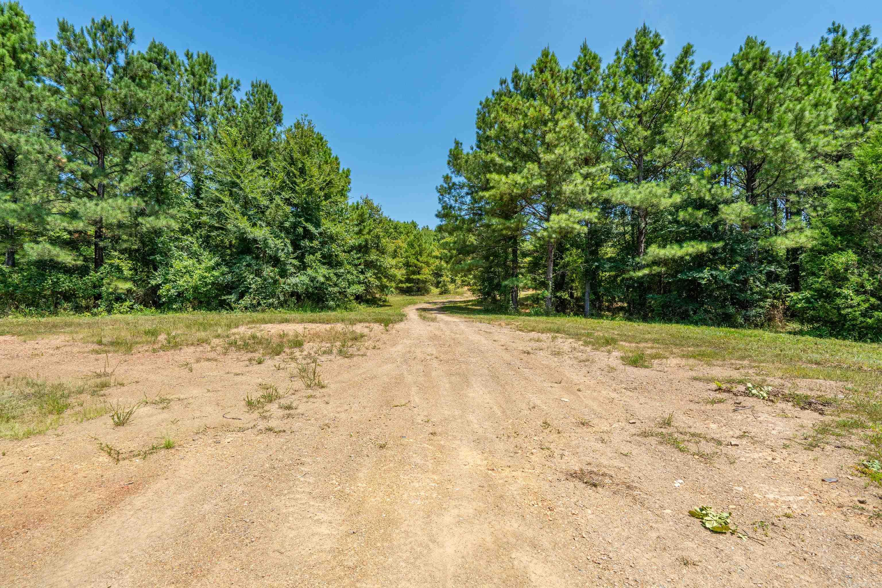 TBD 56.13 Acres Broken Bow Lane