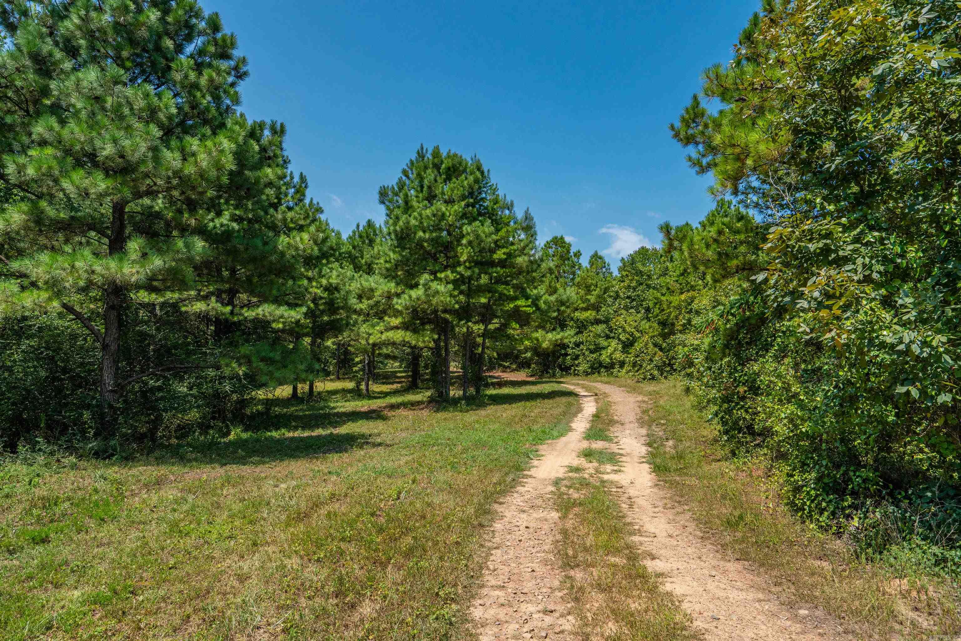TBD 56.13 Acres Broken Bow Lane