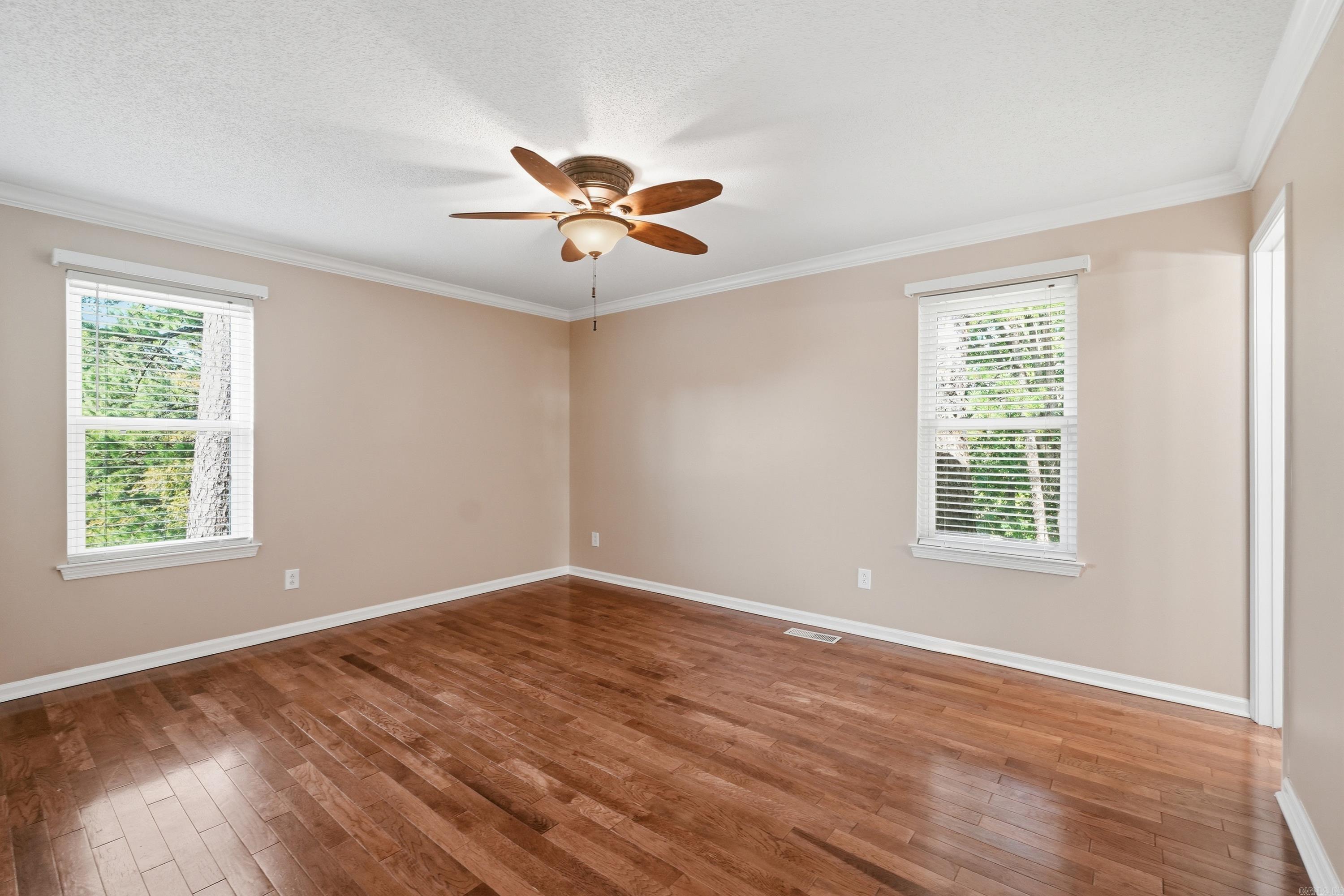 12 Red Birch Cv