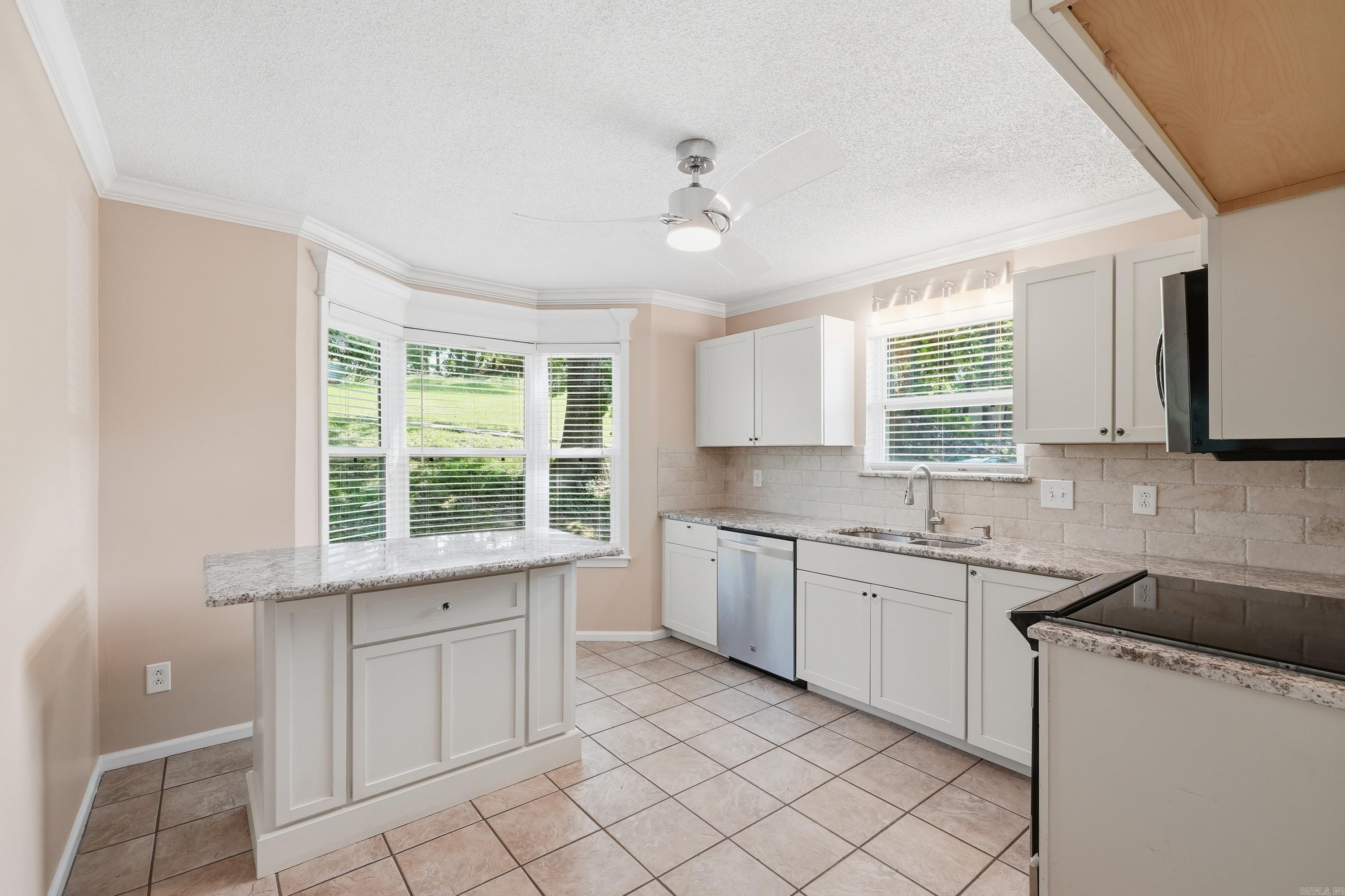 12 Red Birch Cv