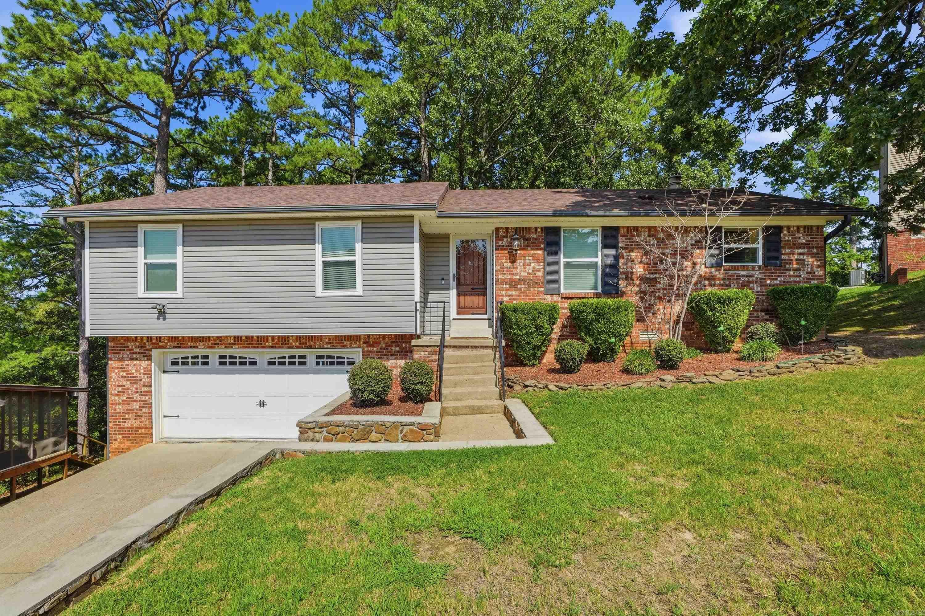 12 Red Birch Cv