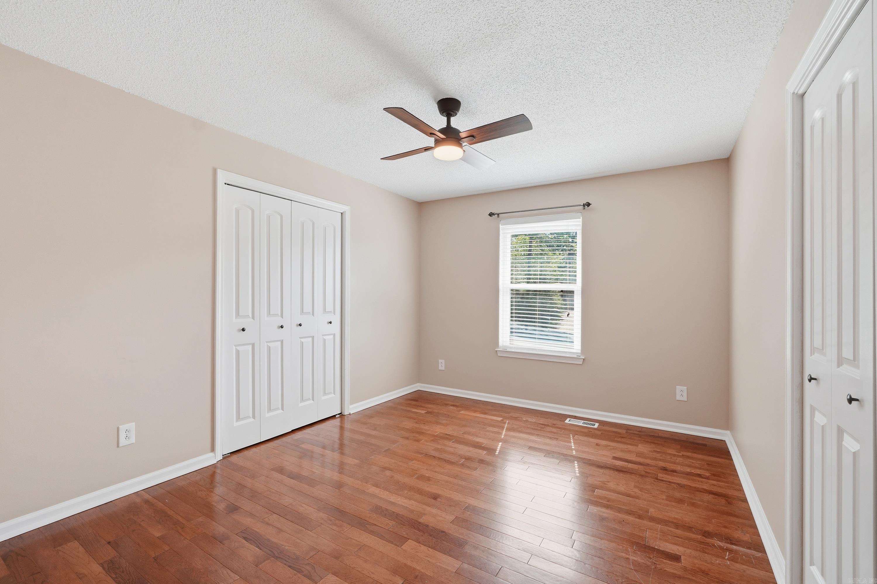 12 Red Birch Cv