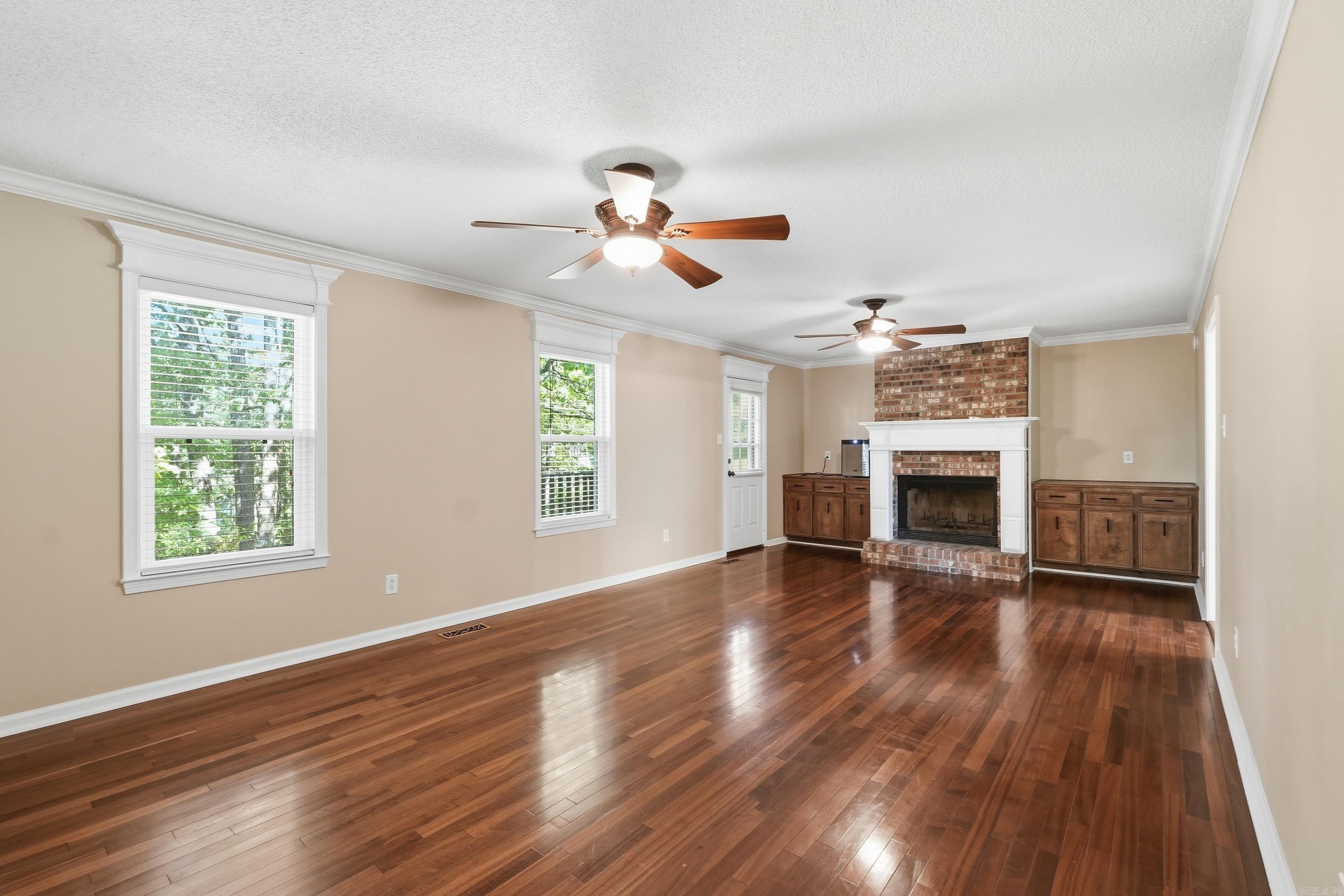 12 Red Birch Cv