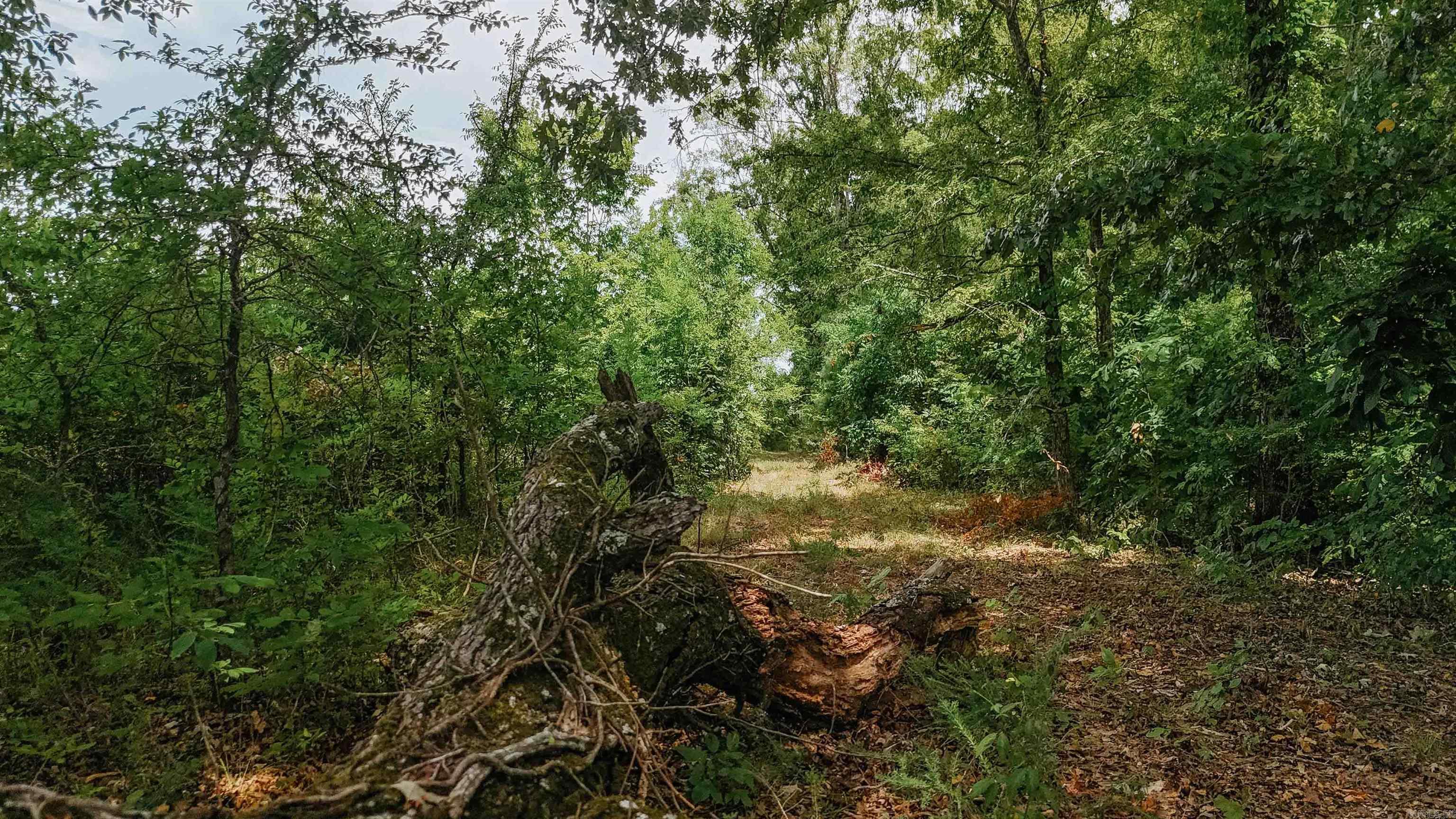 000 Copeland Ridge Road
