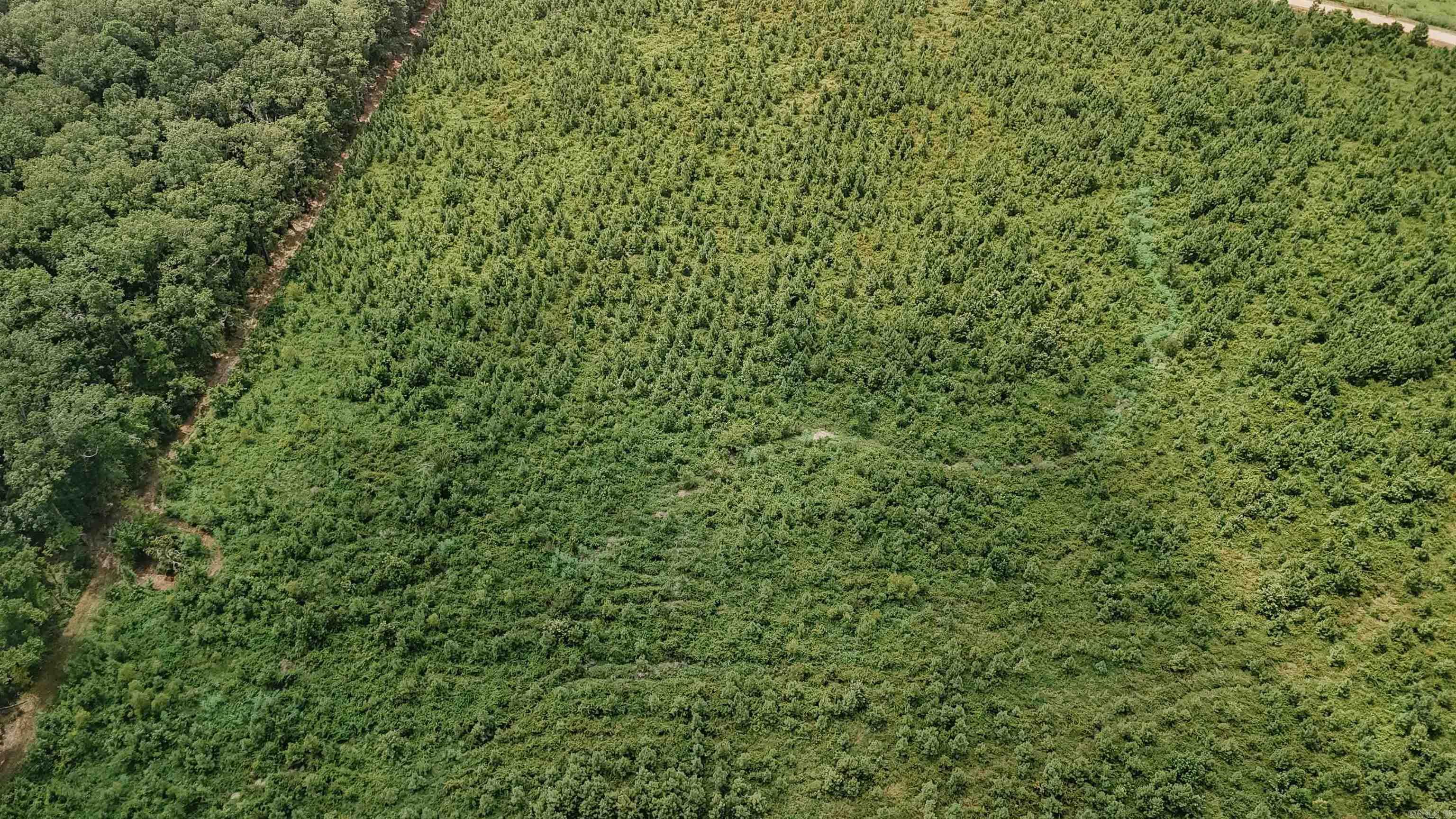 000 Copeland Ridge Road