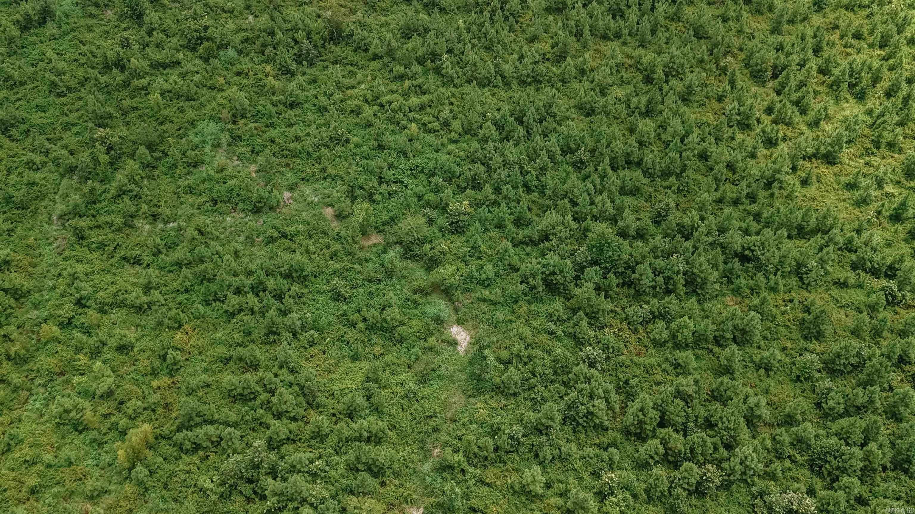 000 Copeland Ridge Road