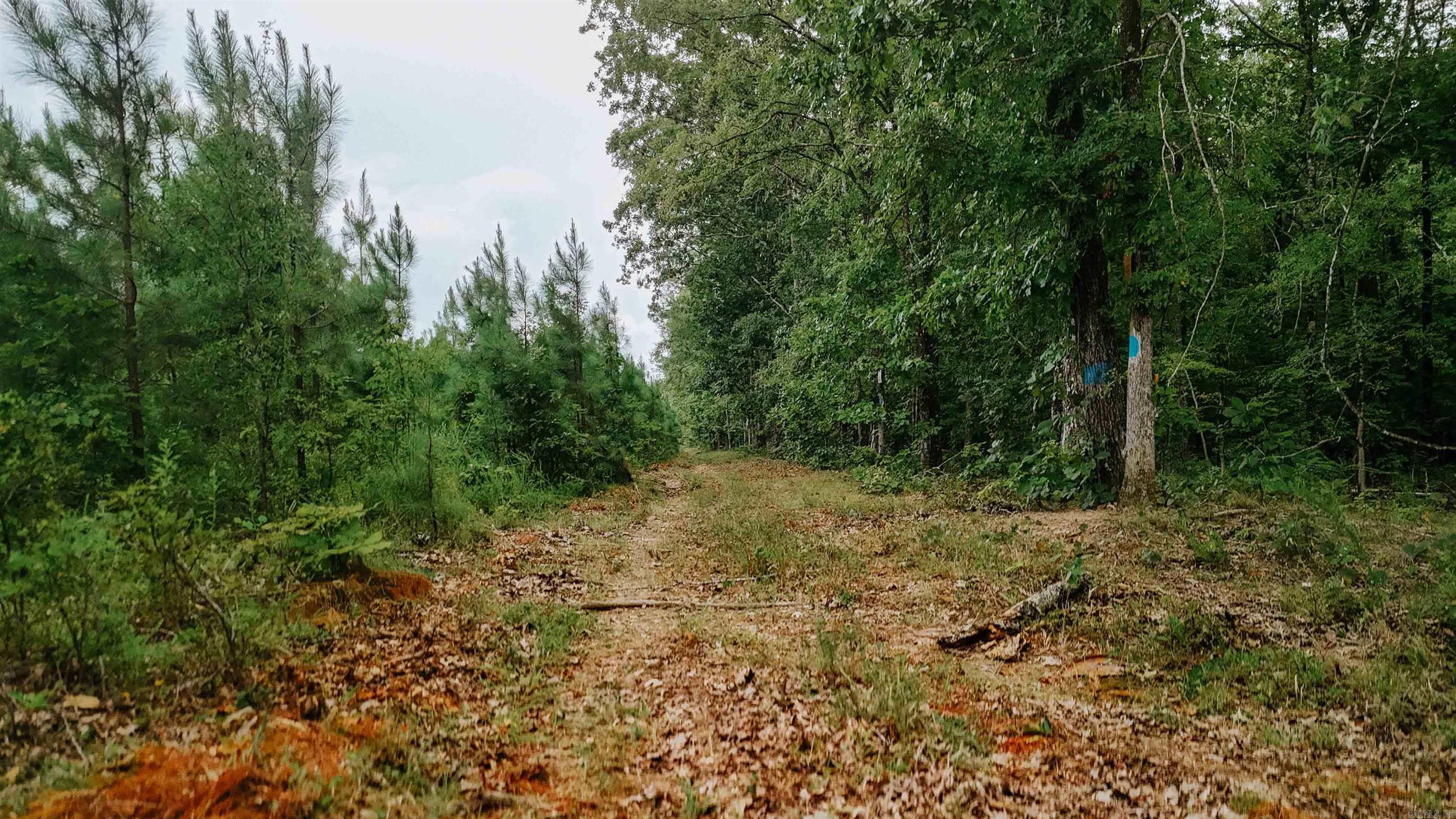 000 Copeland Ridge Road