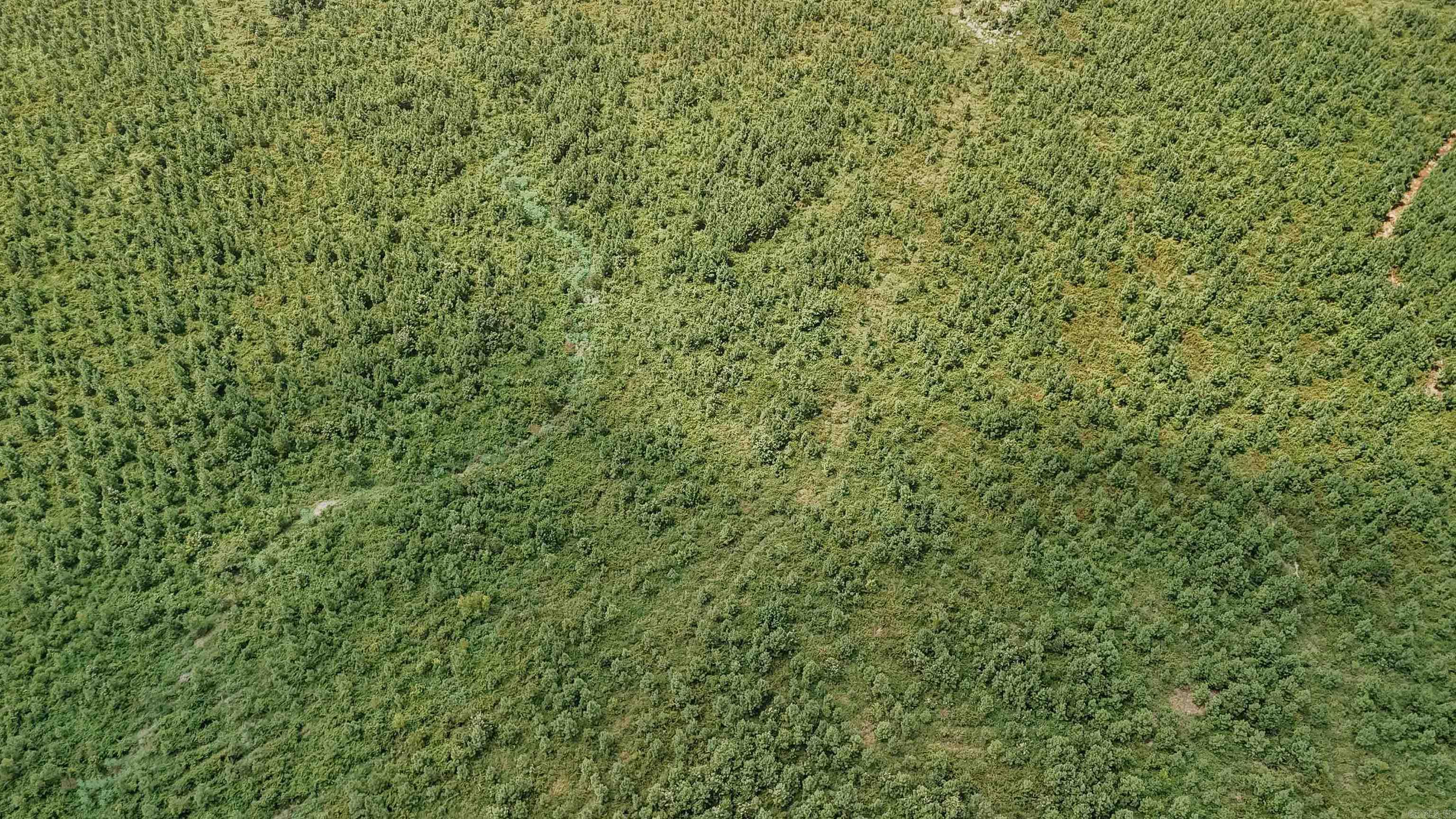 000 Copeland Ridge Road