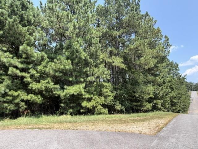 Lot 3 Dawson Springs