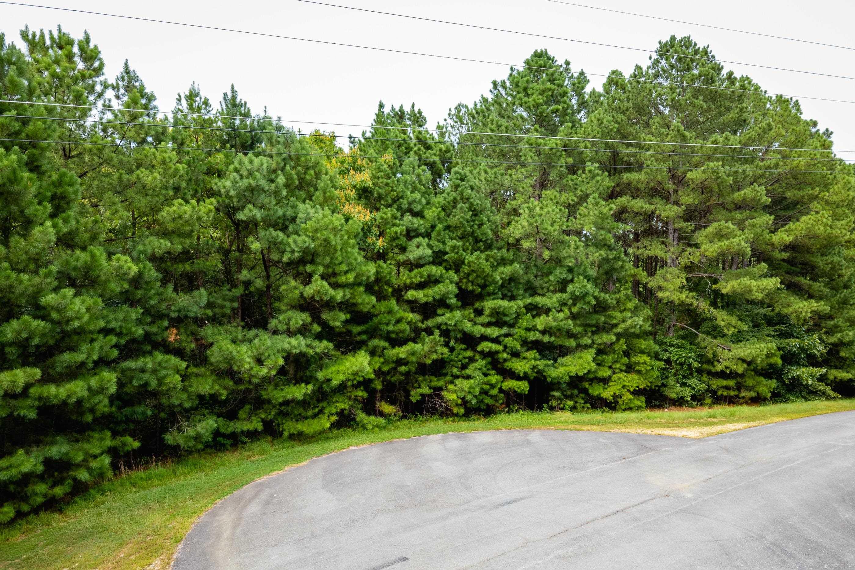 Lot 3 Dawson Springs