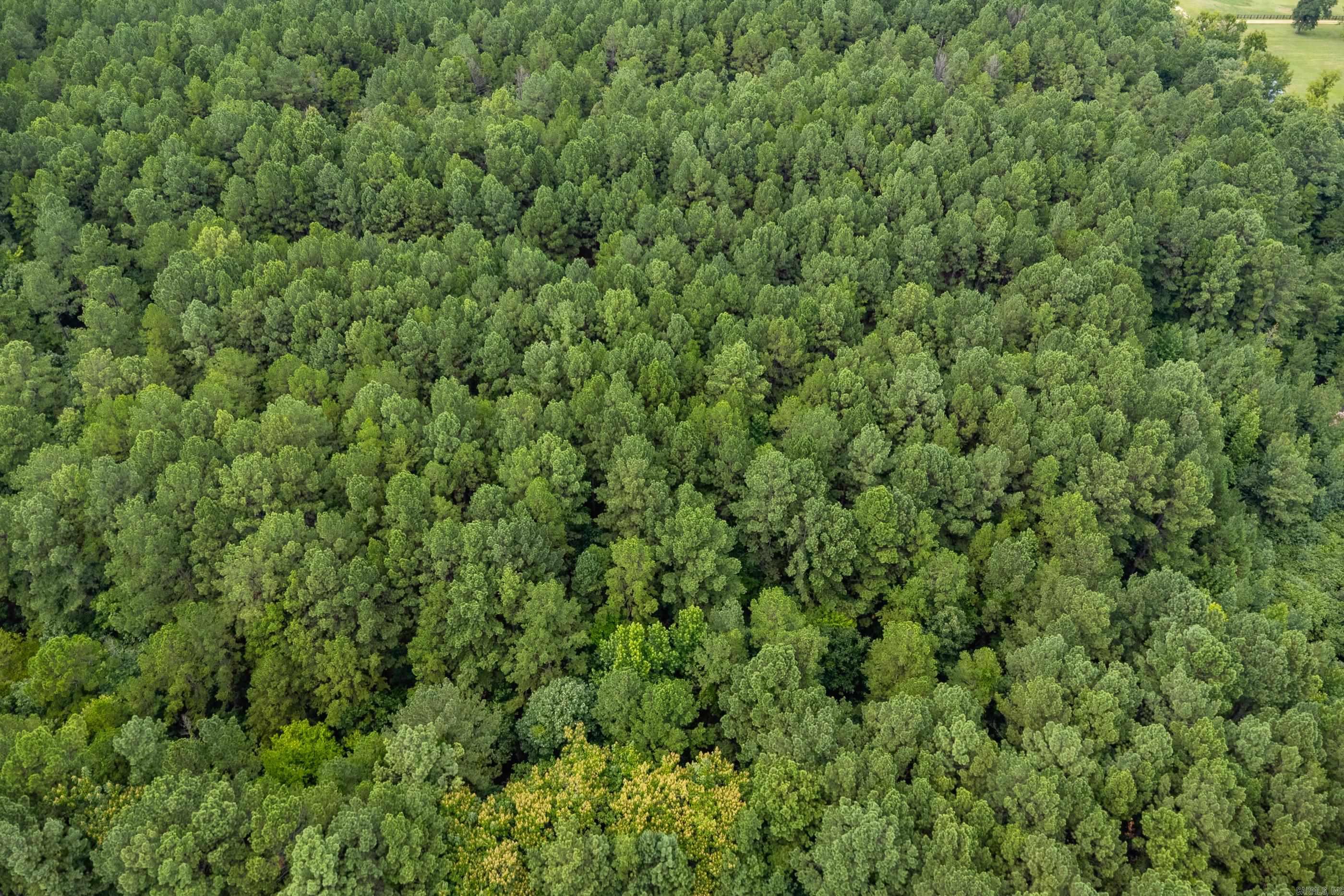 Lot 3 Dawson Springs