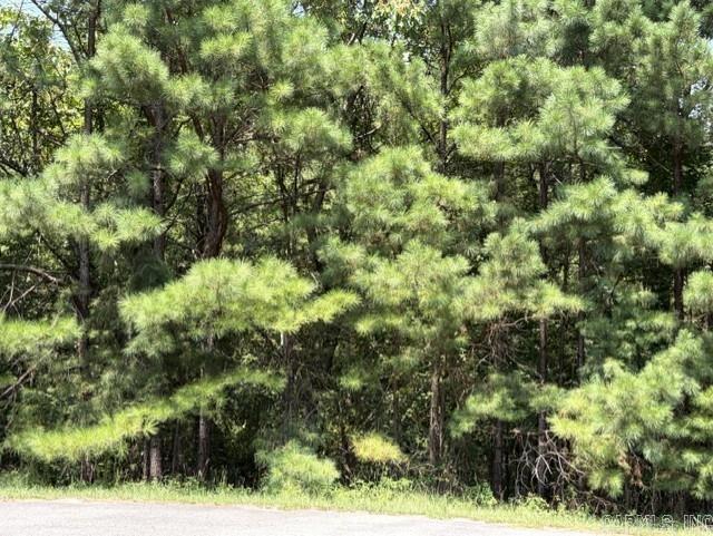 Lot 3 Dawson Springs