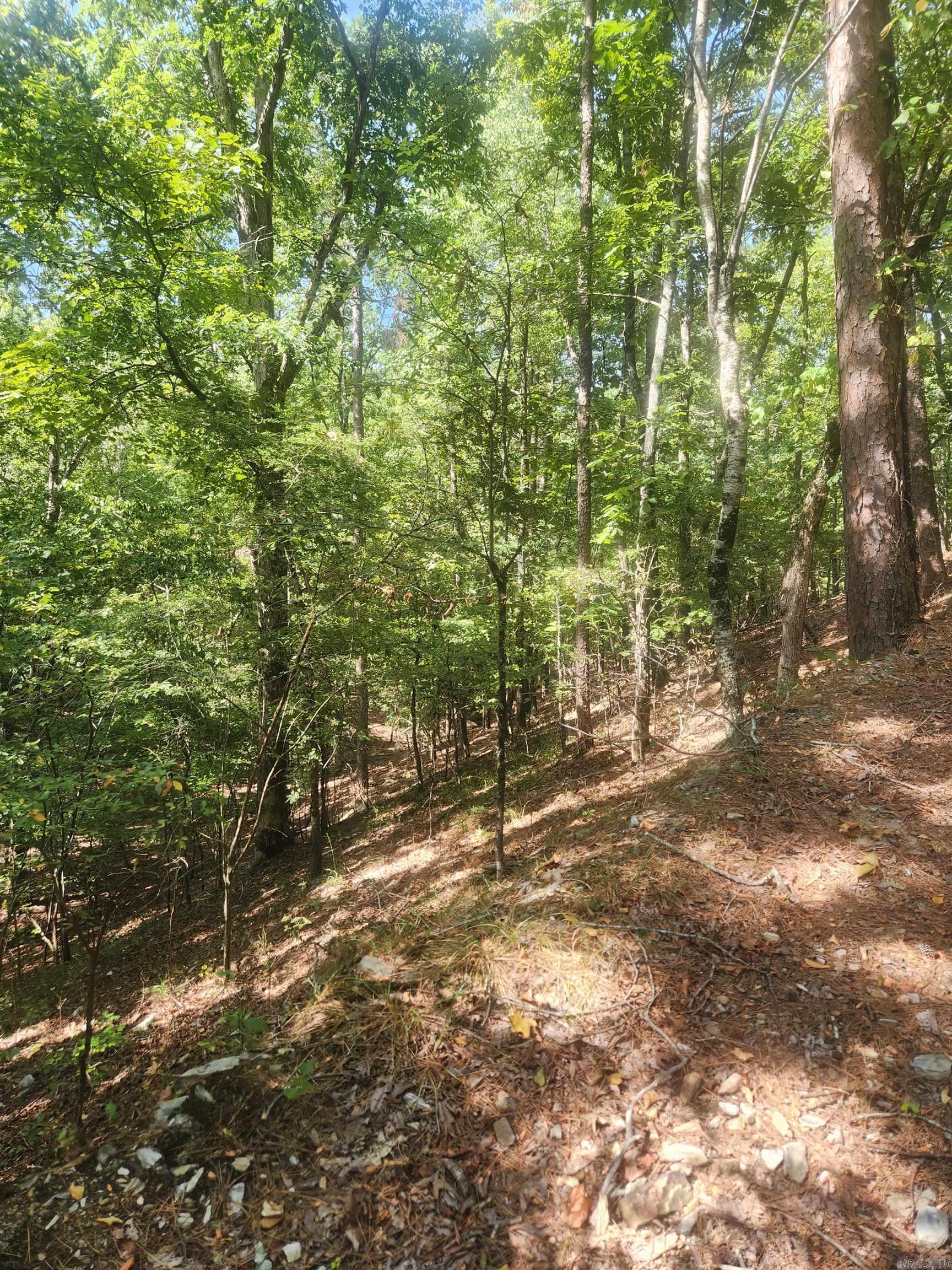4620 Flowerwood Lane