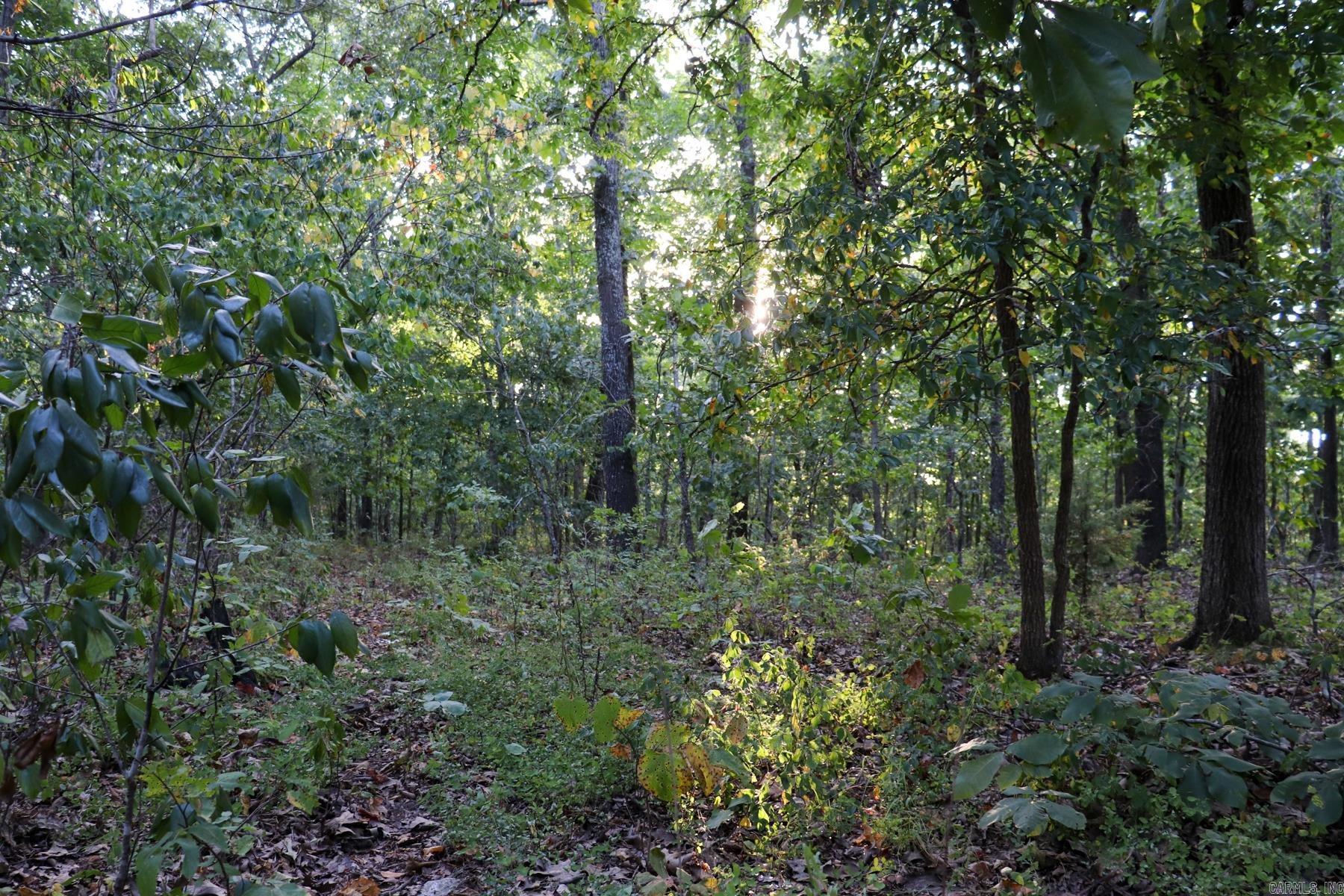 922 Baker Cemetery Road