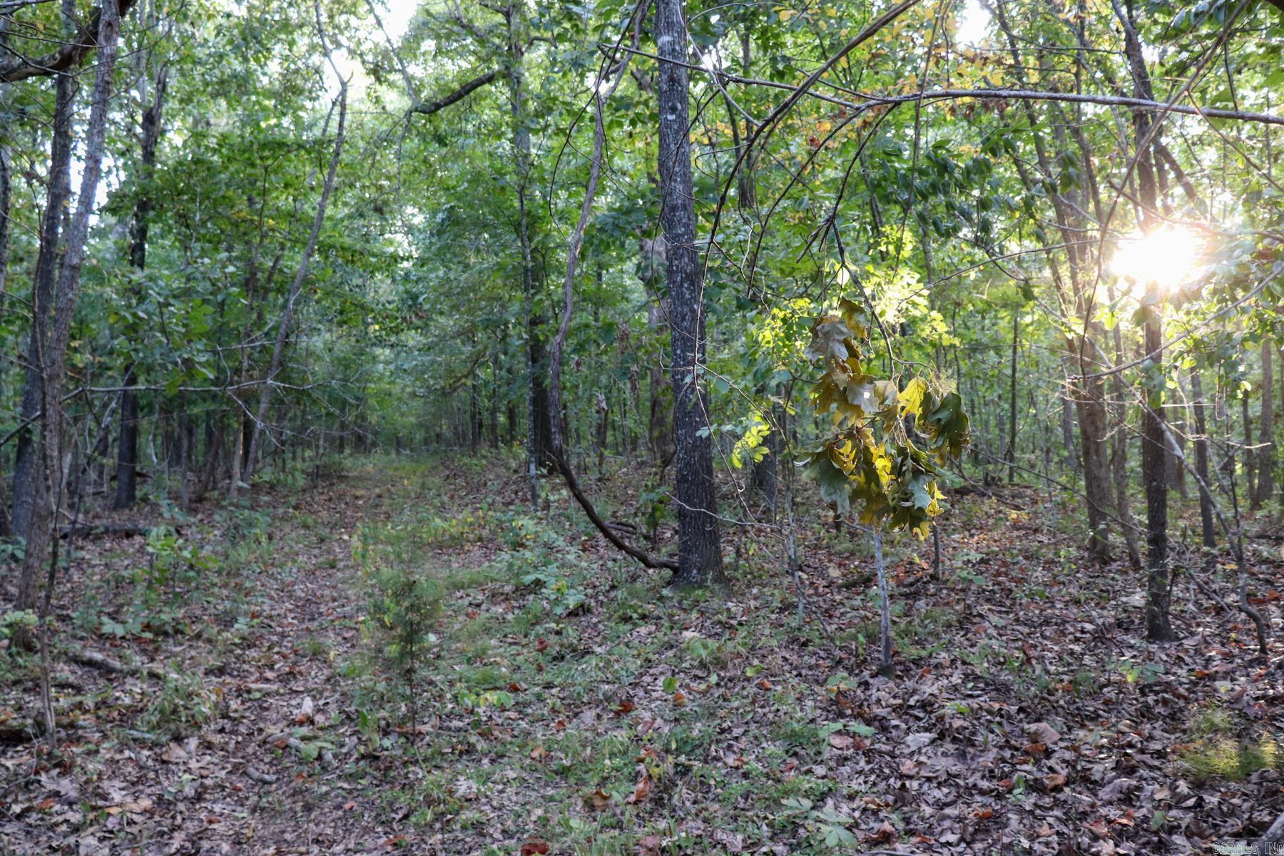922 Baker Cemetery Road
