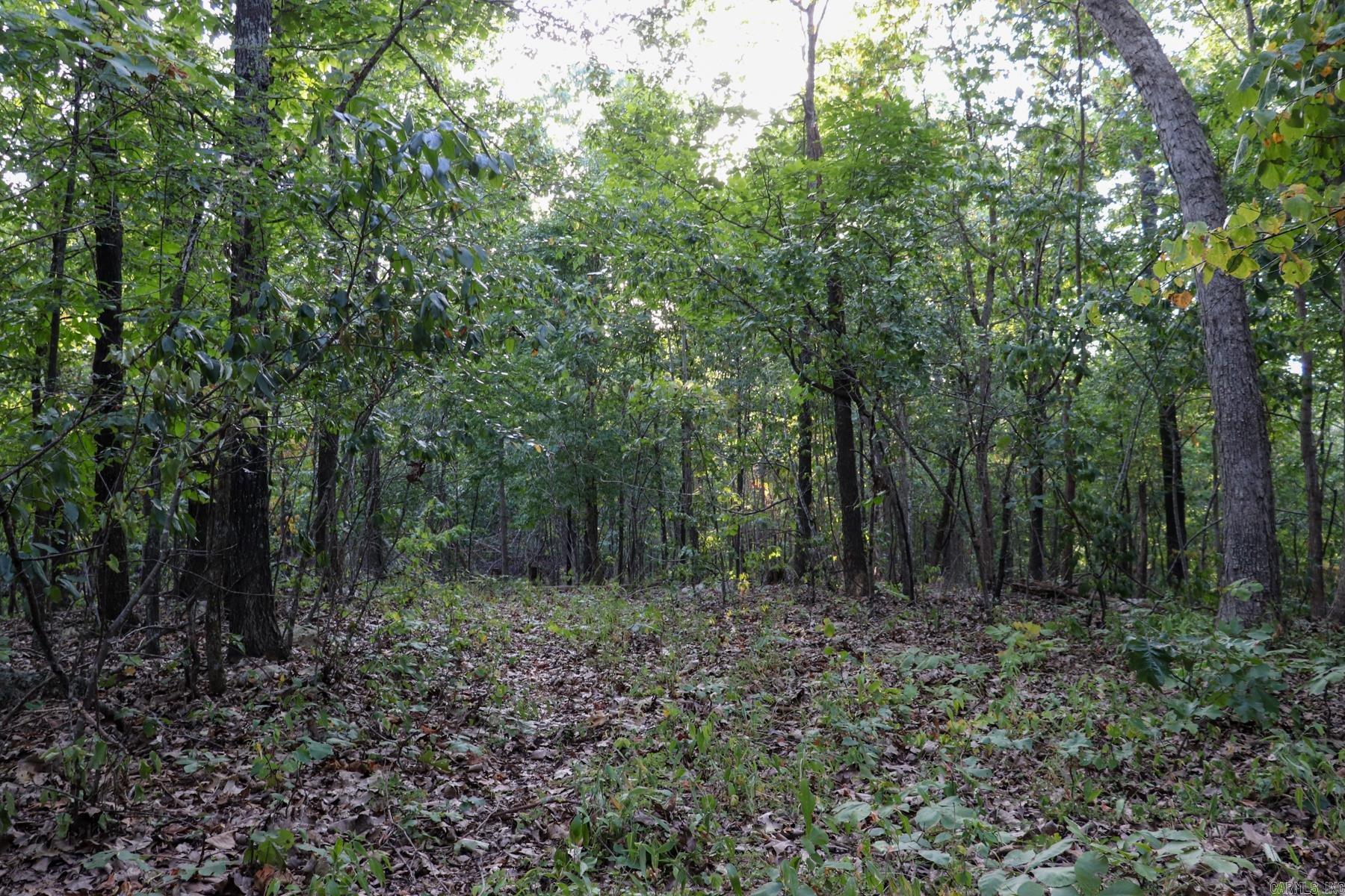 922 Baker Cemetery Road