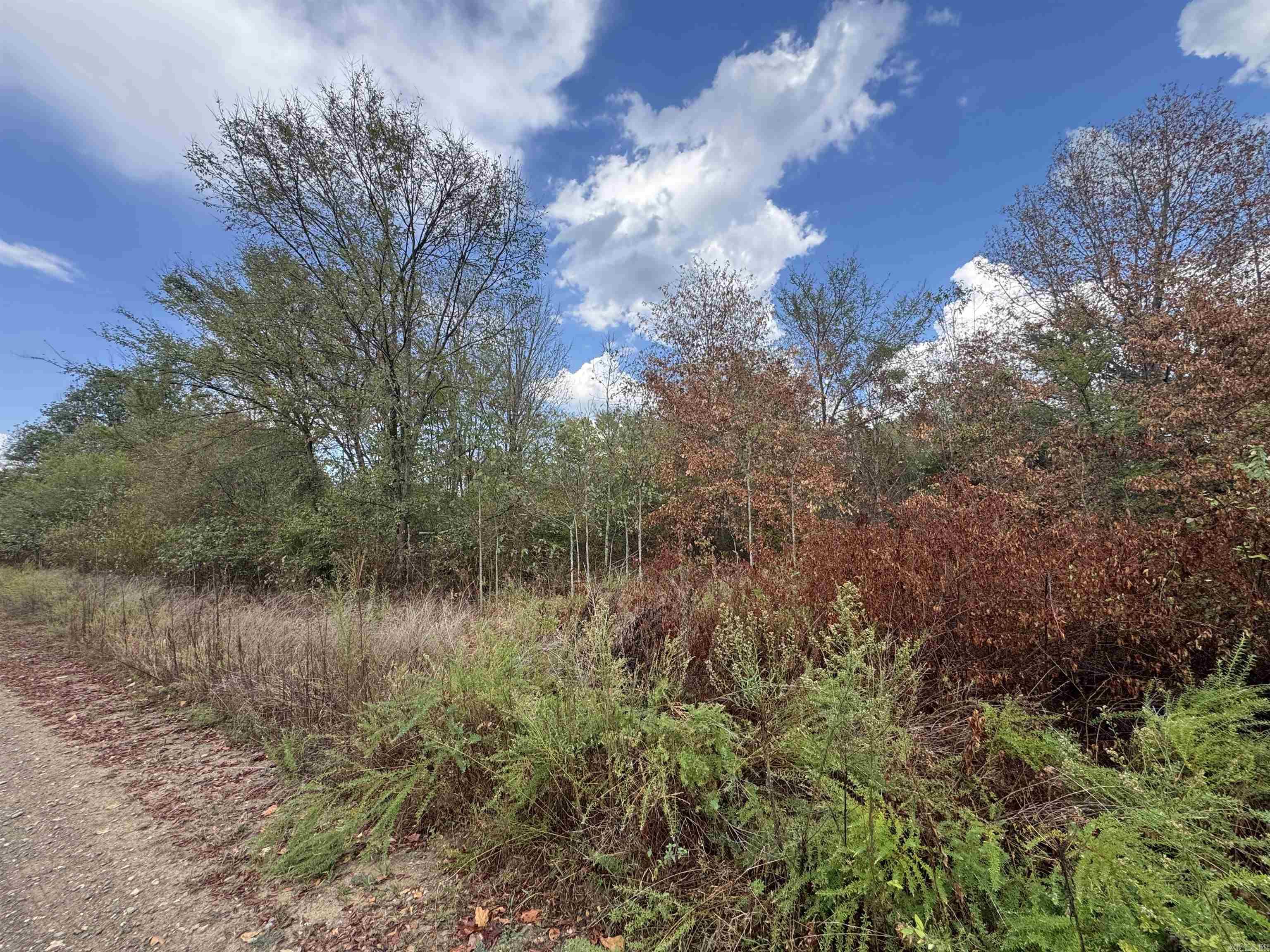 00 Brown Lane