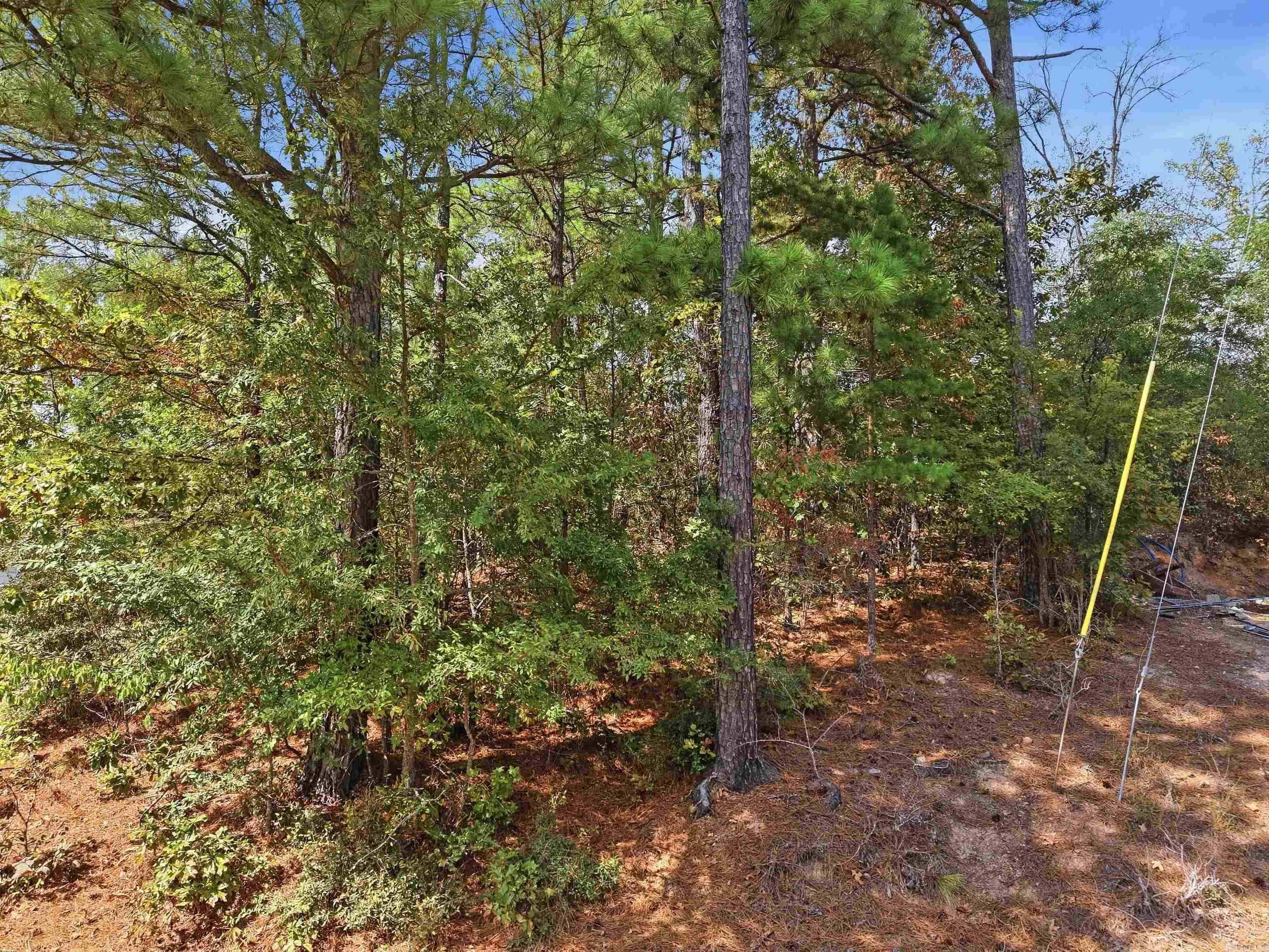 TBD Lot 40 Geronimo Street